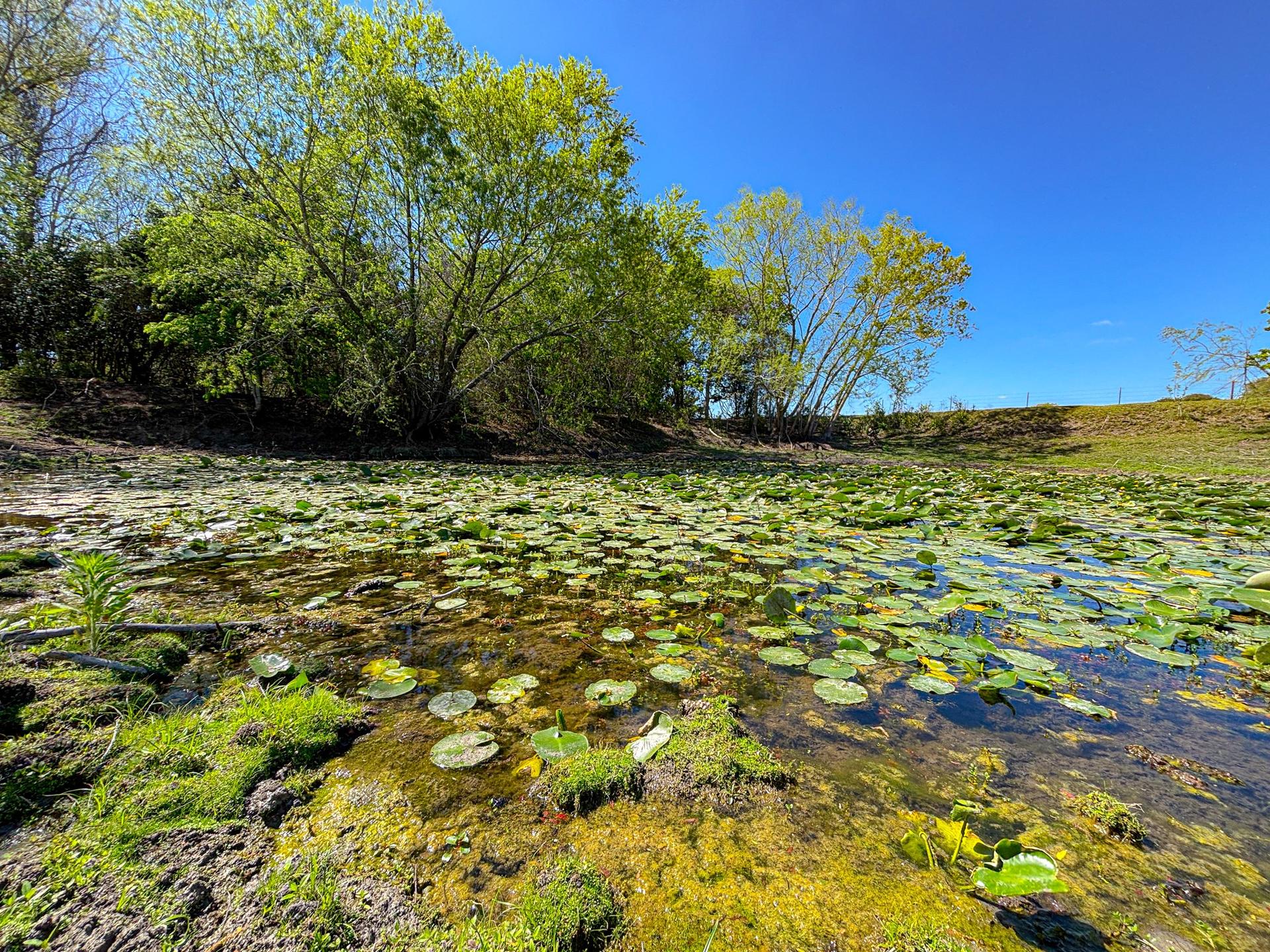 1037 County Road 340, Shiner, TX, 77984