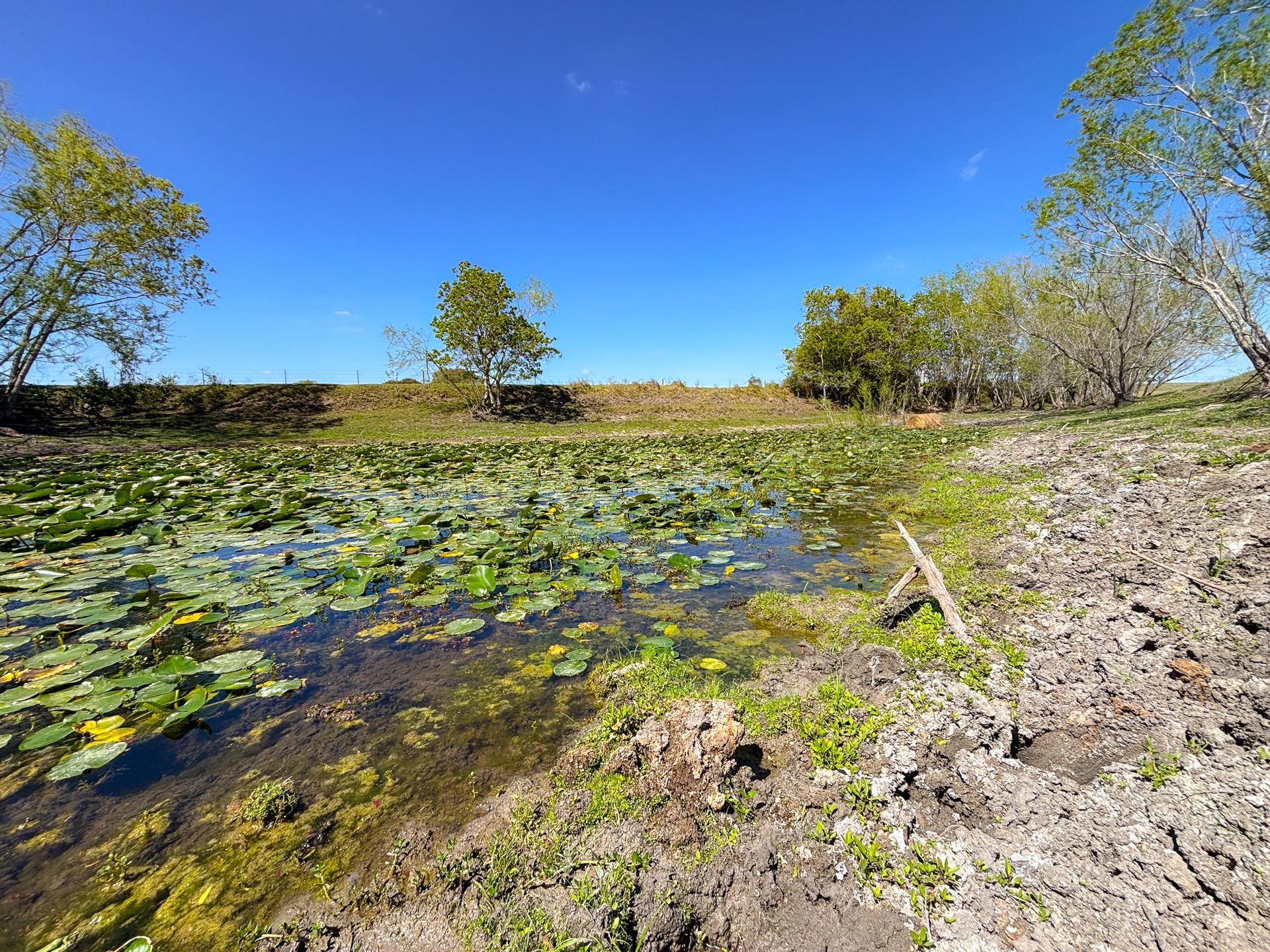 1037 County Road 340, Shiner, TX, 77984