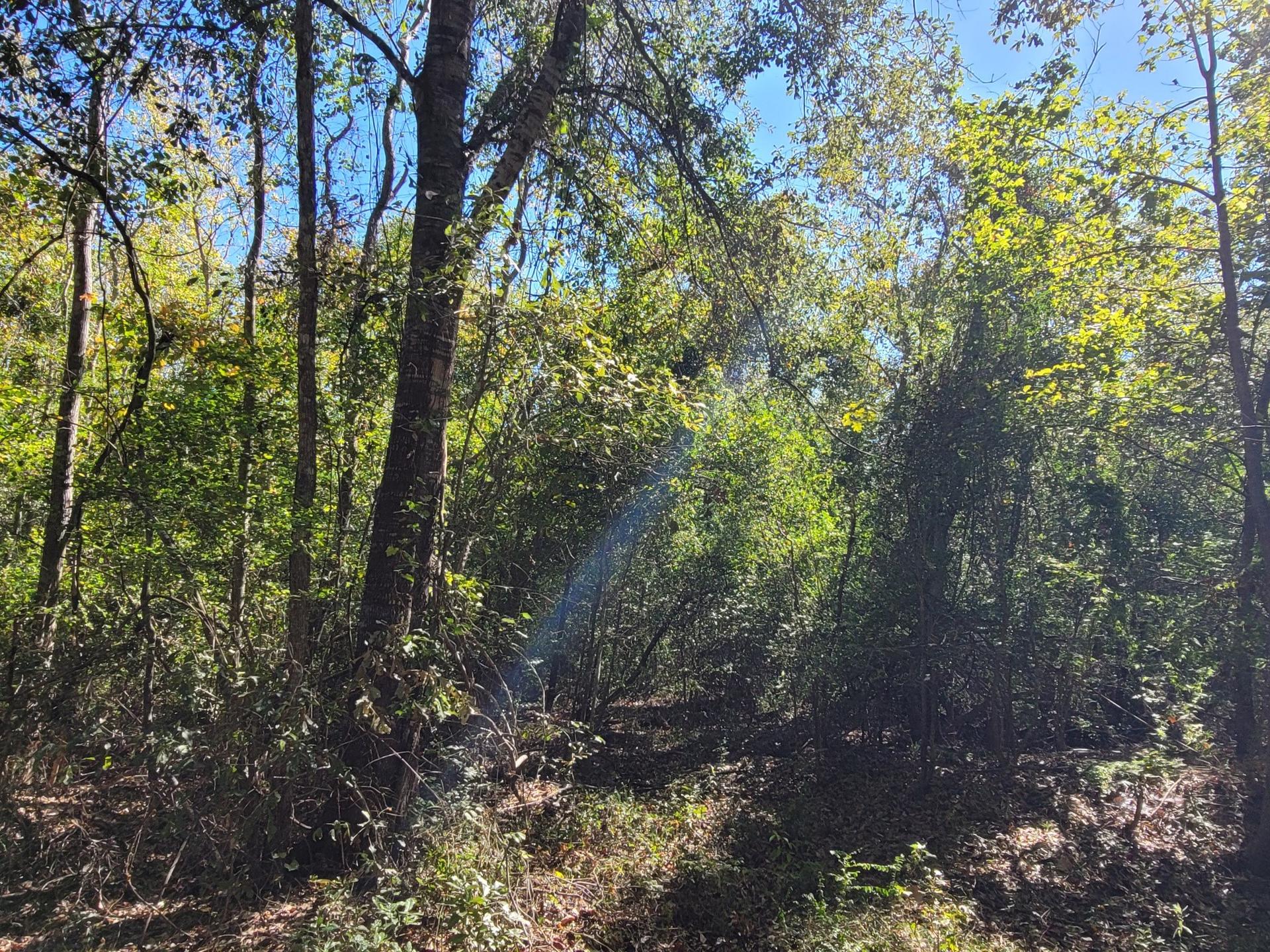 10785 Fm-2518, Cleveland, TX, 77327