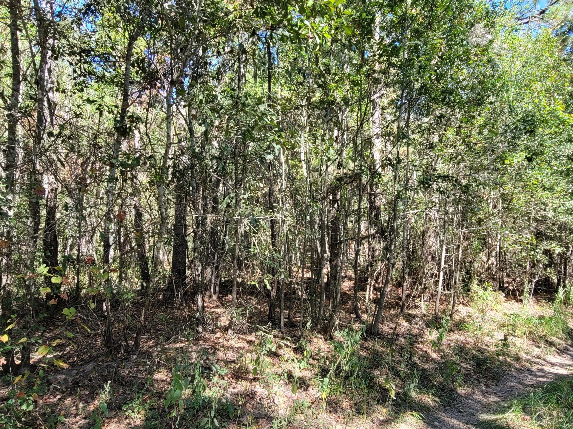 10785 Fm-2518, Cleveland, TX, 77327