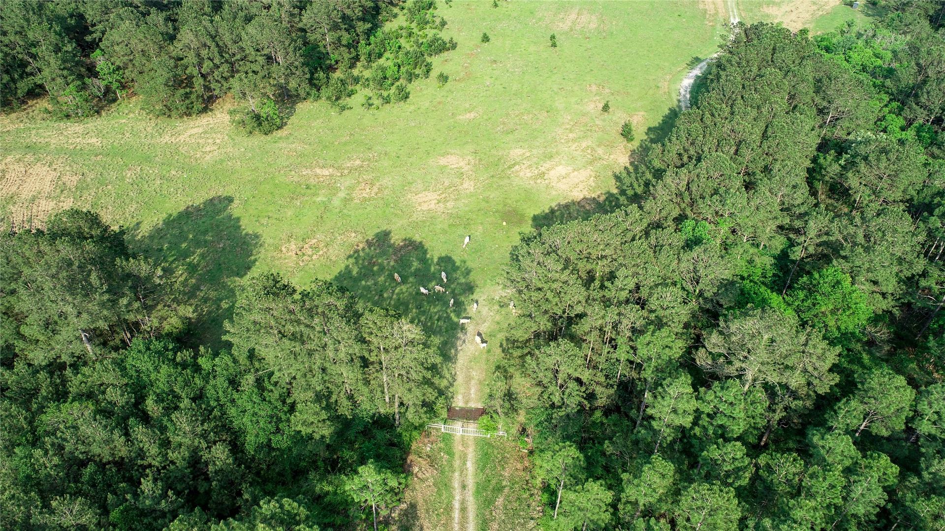 0000 Old Beaumont, Sour Lake, TX, 77659