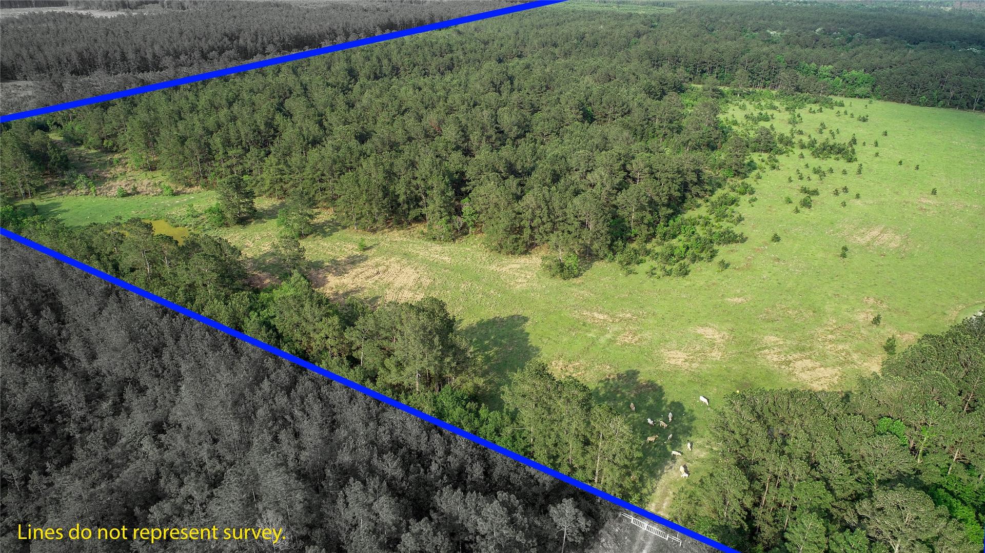 0000 Old Beaumont, Sour Lake, TX, 77659