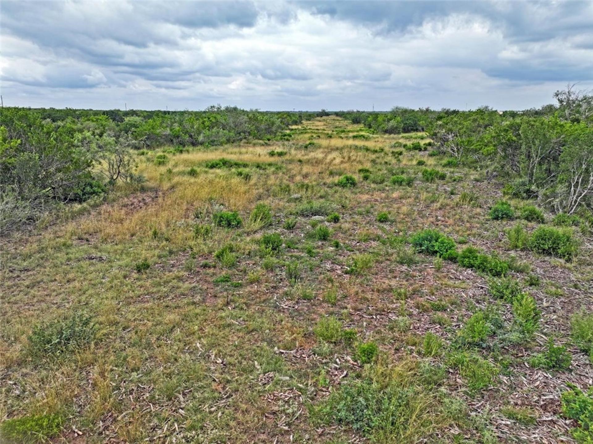 0 CR 145, San Diego, TX, 78384