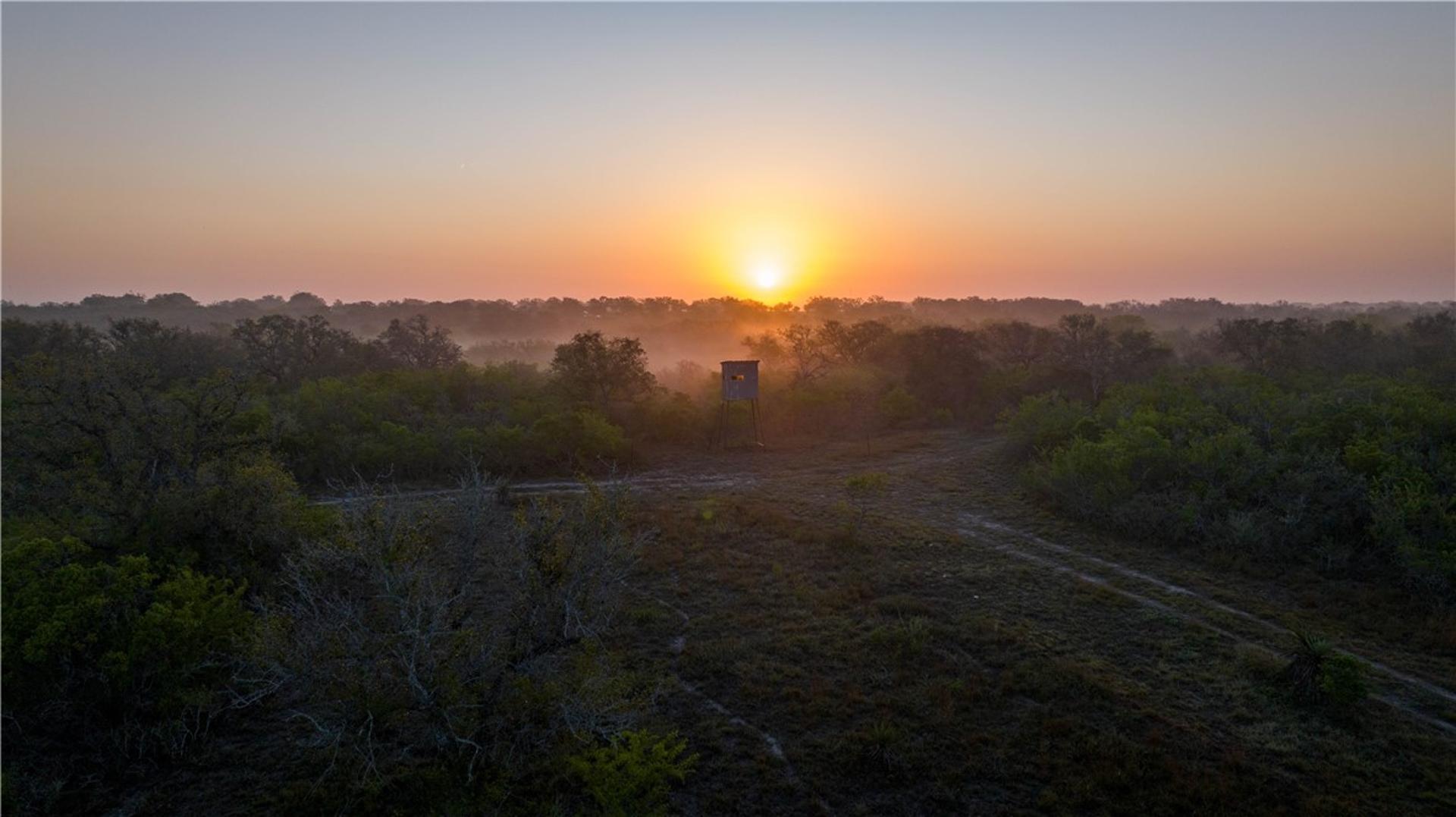 8440 State Highway 239, Goliad, TX, 77963