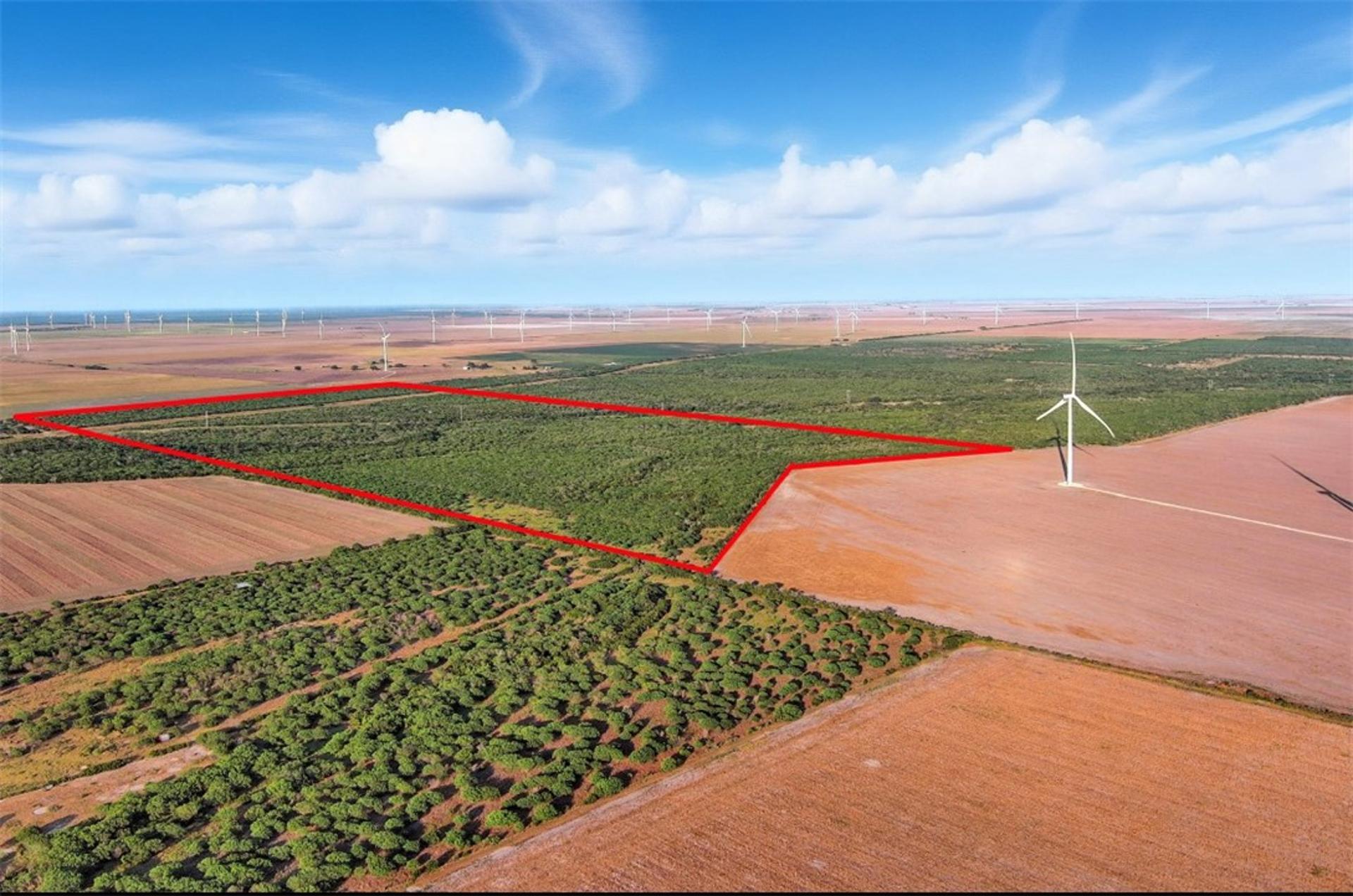 21316 COUNTY RD 798, Mathis, TX, 78389