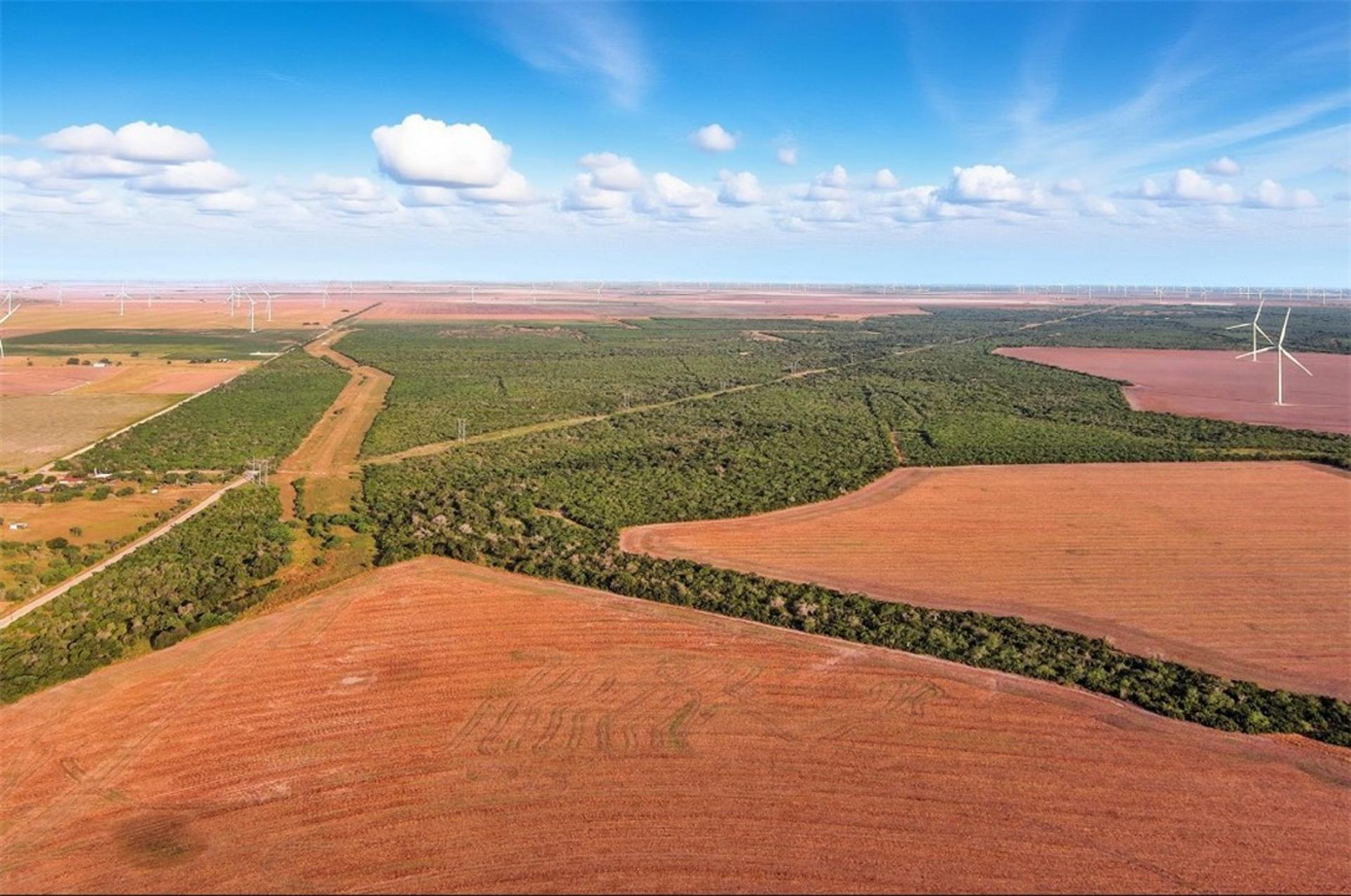 21316 COUNTY RD 798, Mathis, TX, 78389