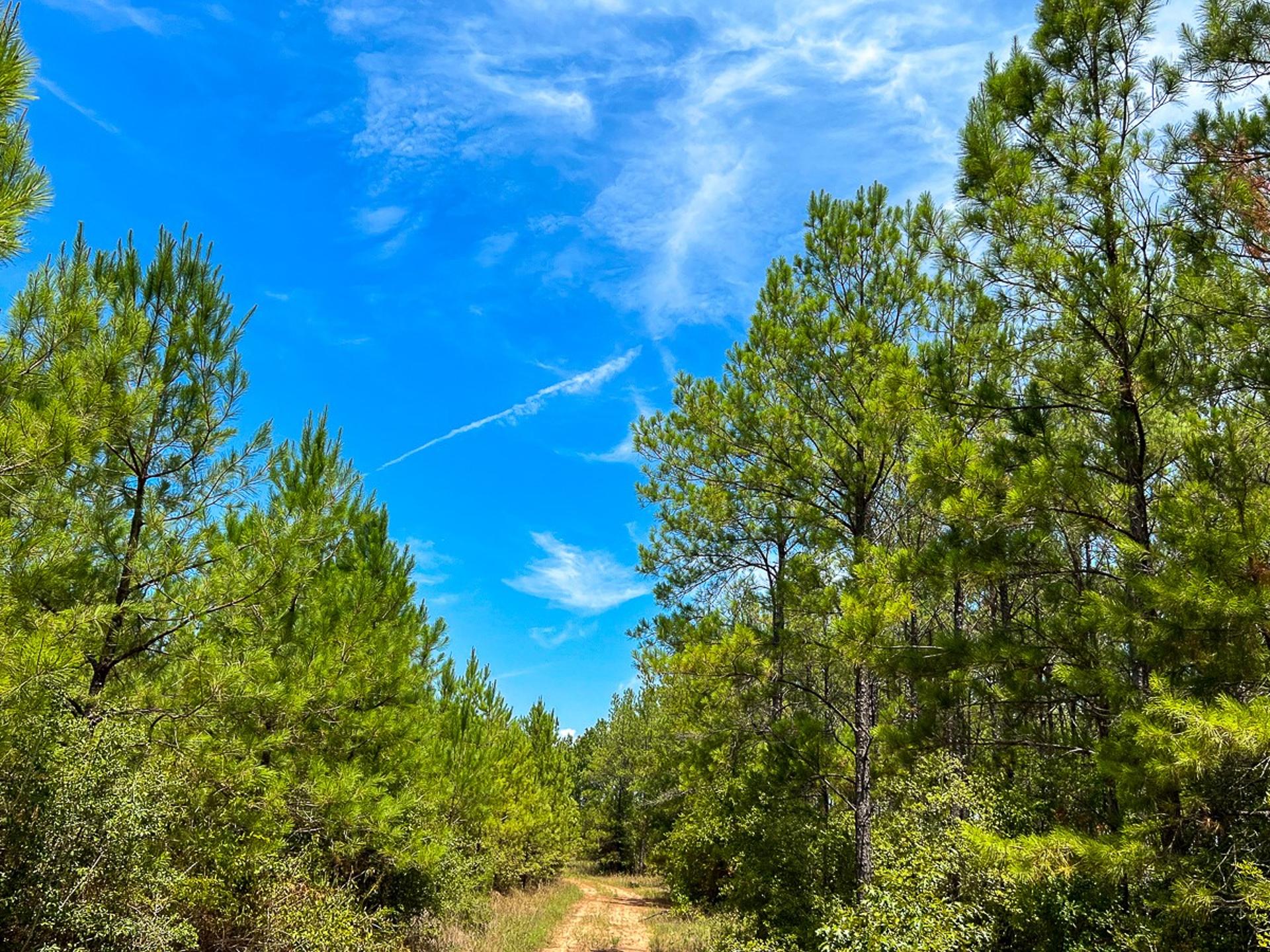 0 Lost Indian Camp Road, Huntsville, TX, 77320