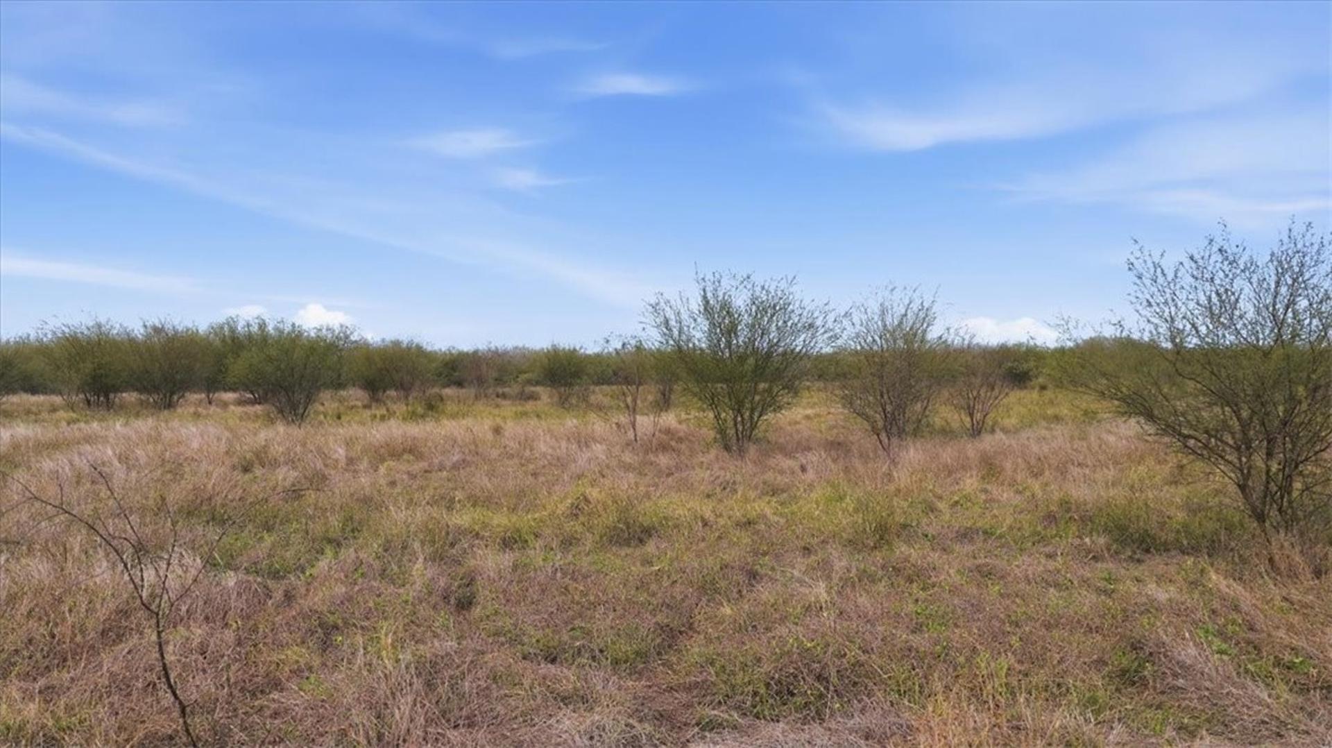 00 County Road 211, Alice, TX, 78332