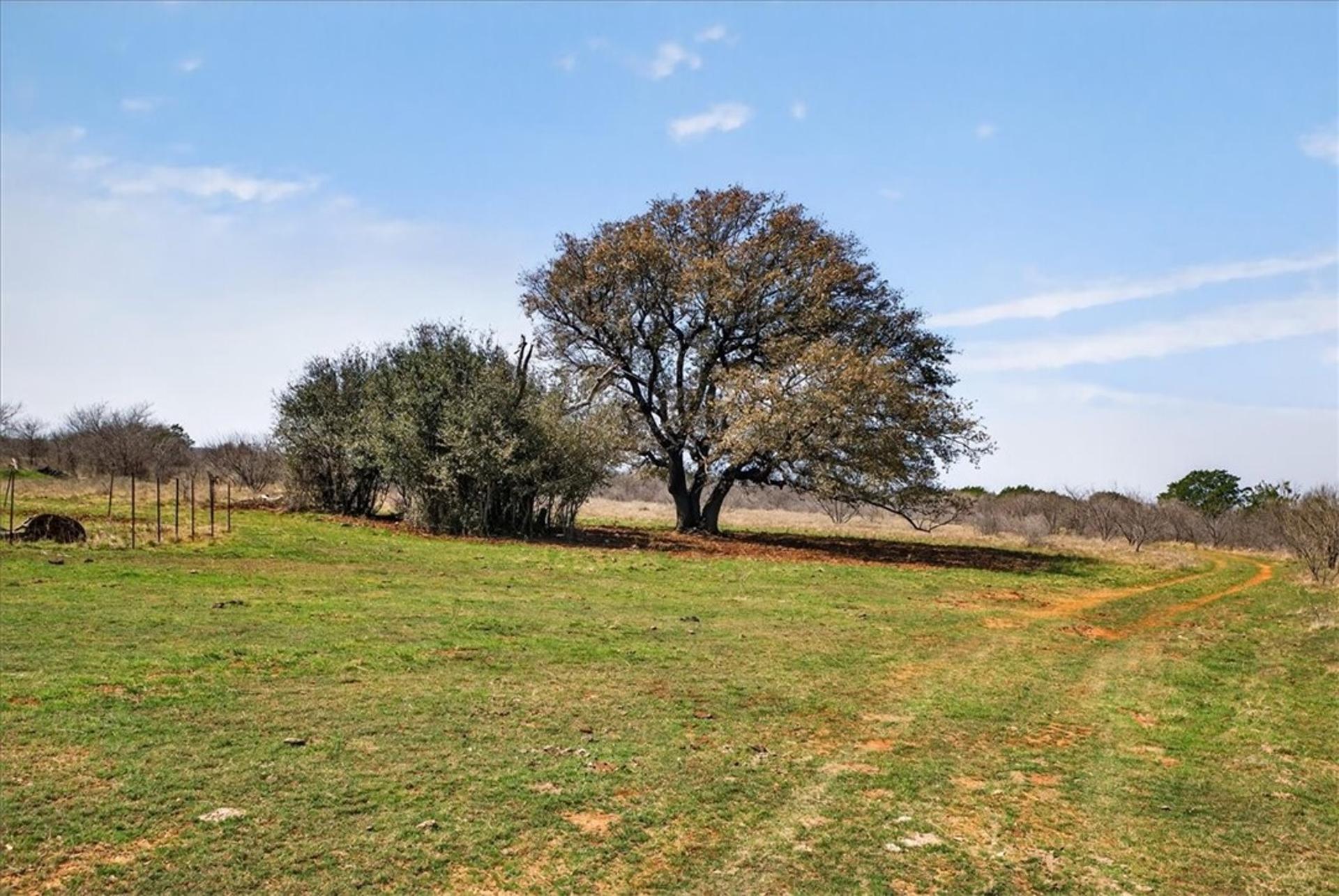 4140 State Highway 16, Other, TX, 76449