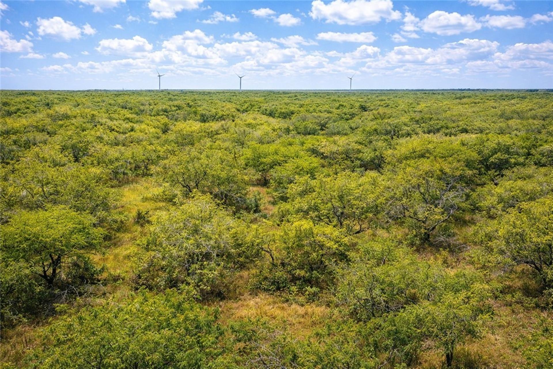 TBD Zinnia Road, Other, TX, 78580