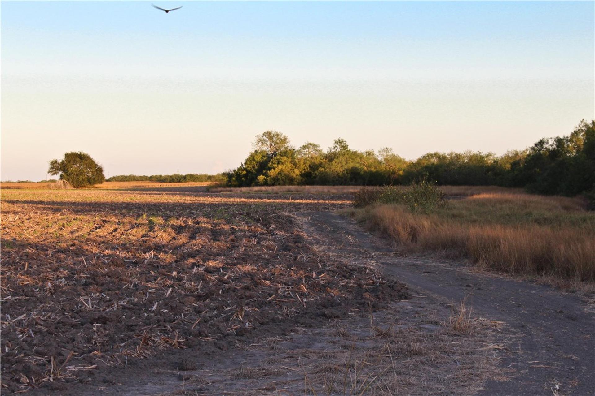 0 CR 20, Robstown, TX, 78380