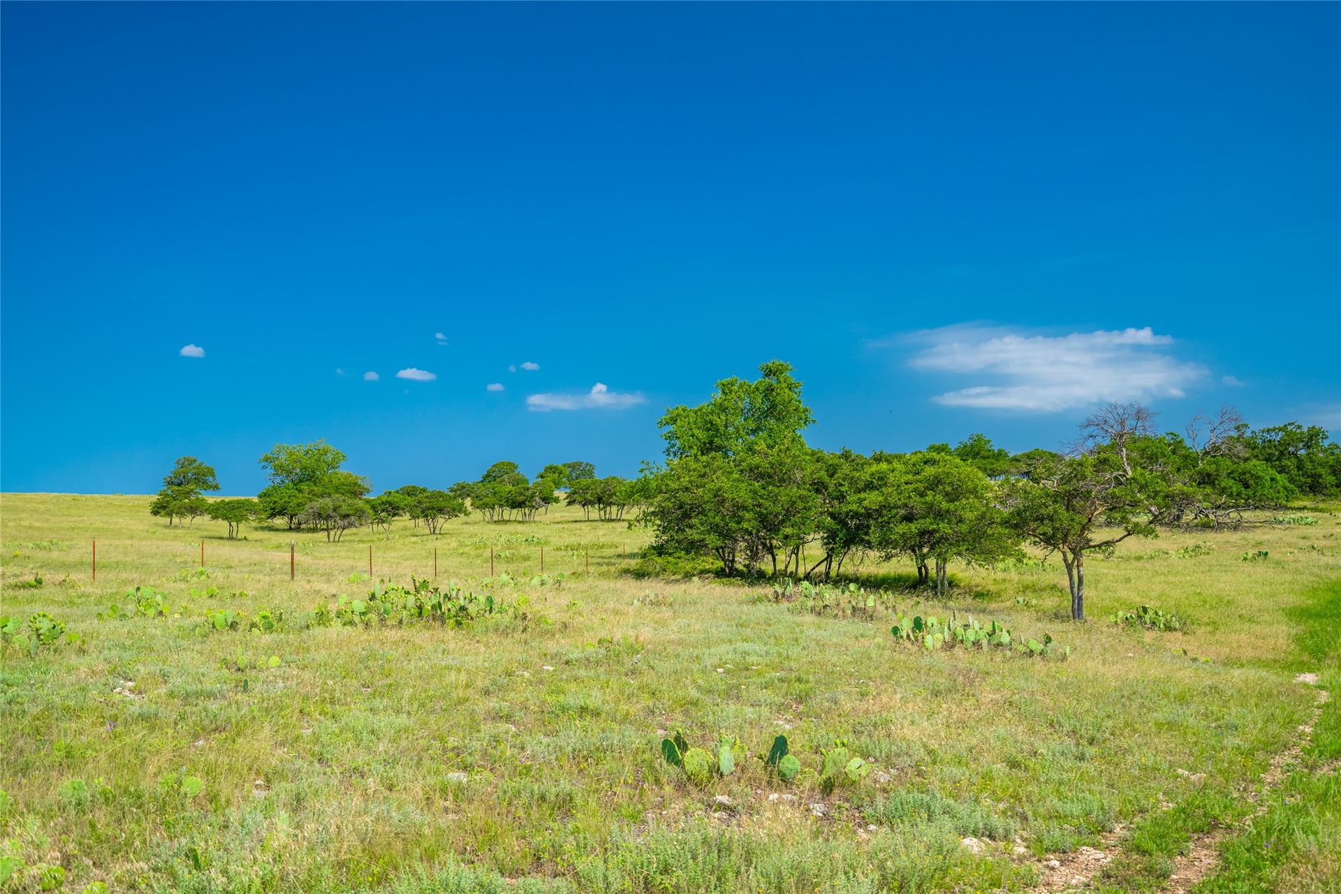 0 County Road 239, Goldthwaite, TX, 76531