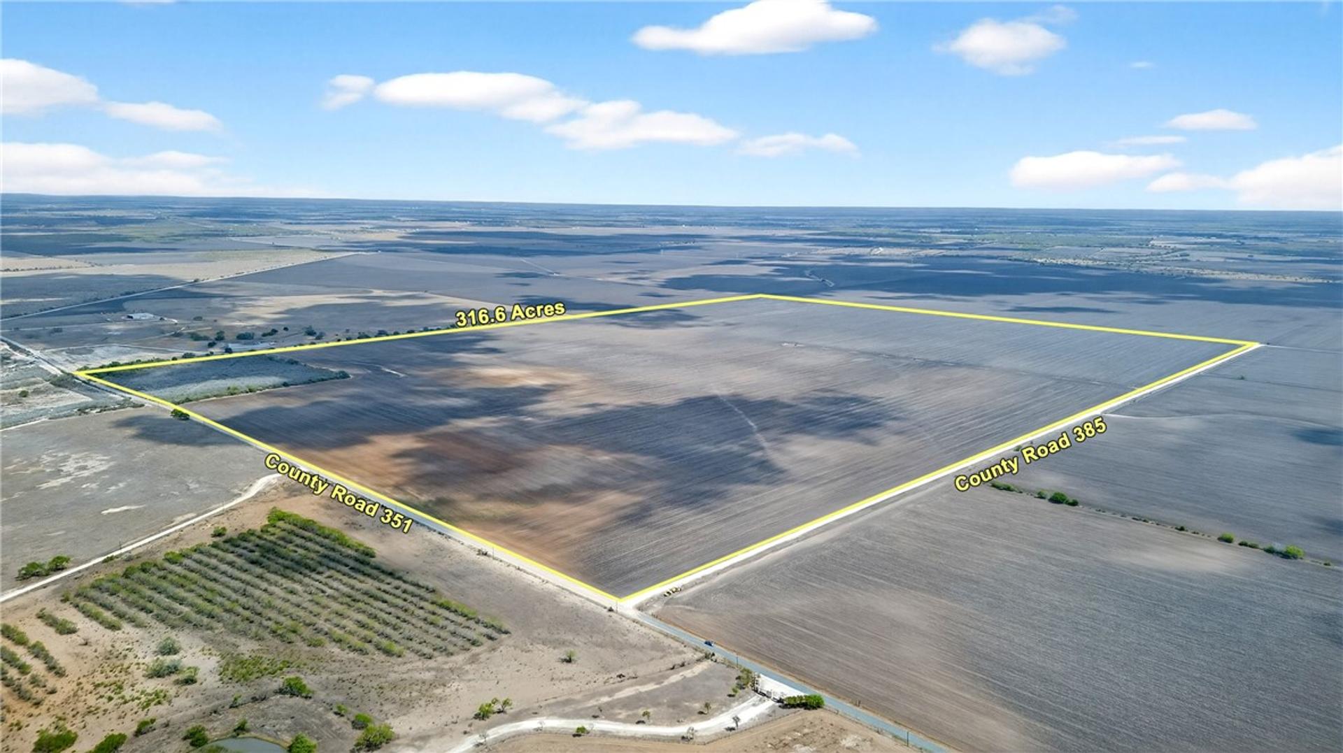 109 County Road 385, George West, TX, 78022