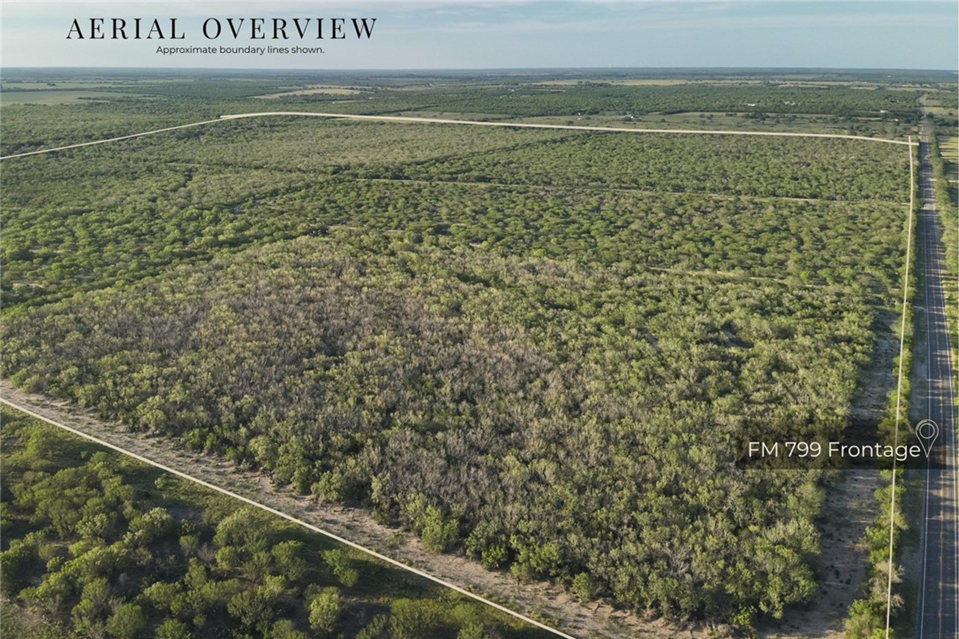 1305 FM 799, George West, TX, 78022