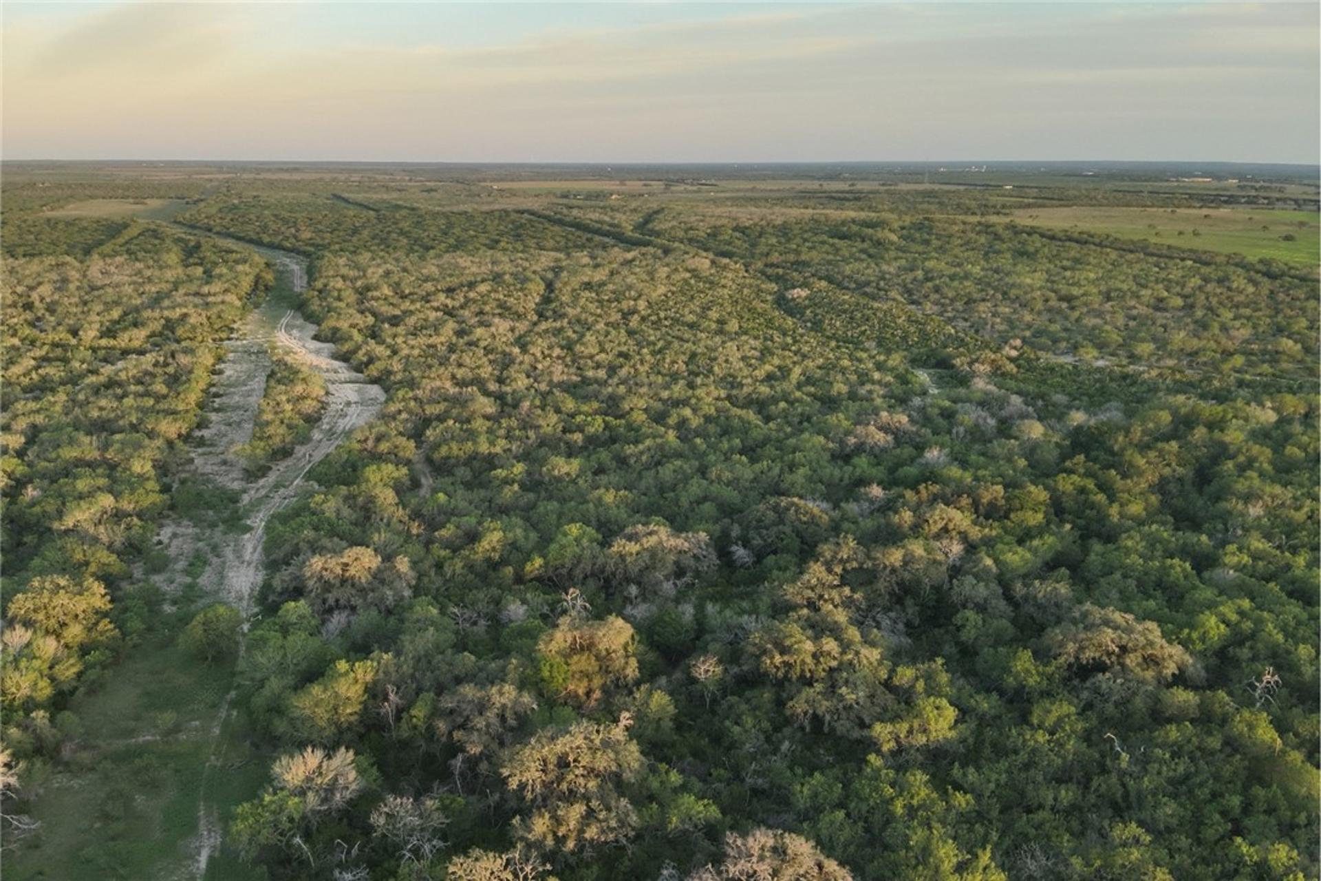 1305 FM 799, George West, TX, 78022