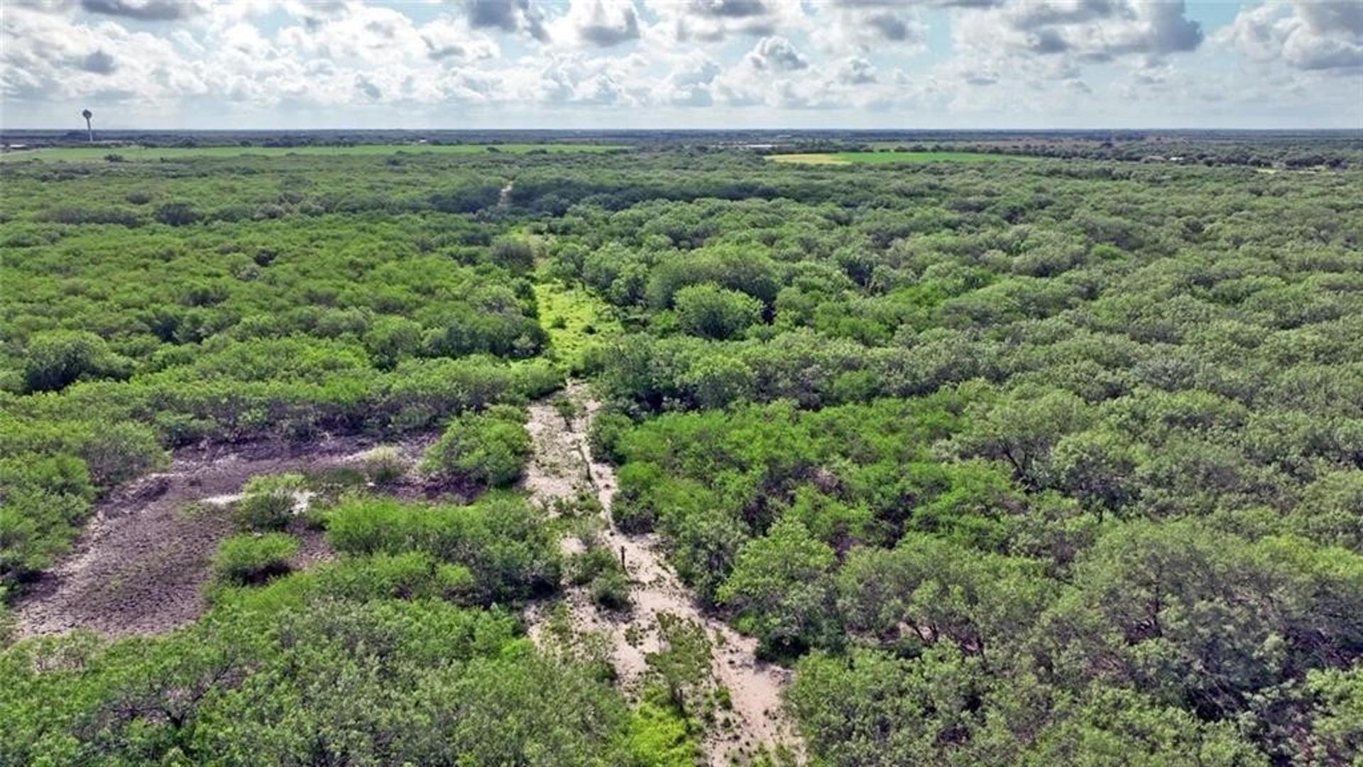 0 CR 2170, Kingsville, TX, 78363