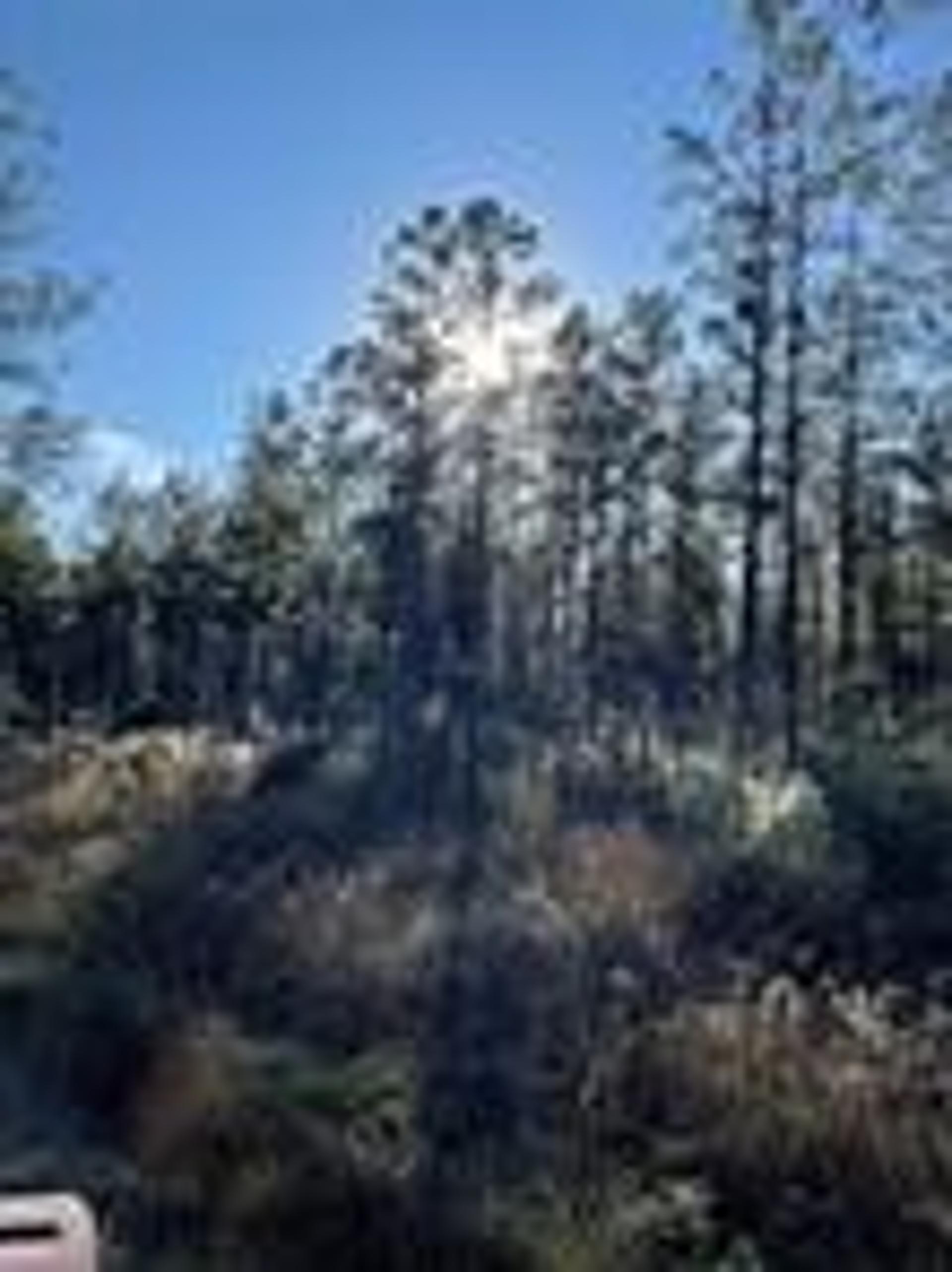 1432 FM 1745 S, Chester, TX, 75936