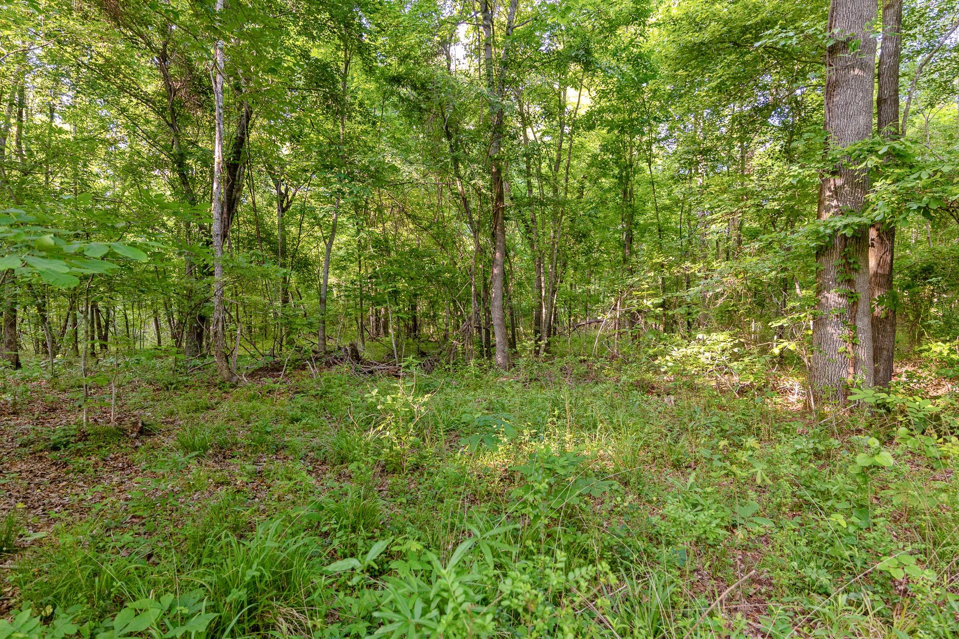 1478 Cr-4316, De Kalb, TX, 75559