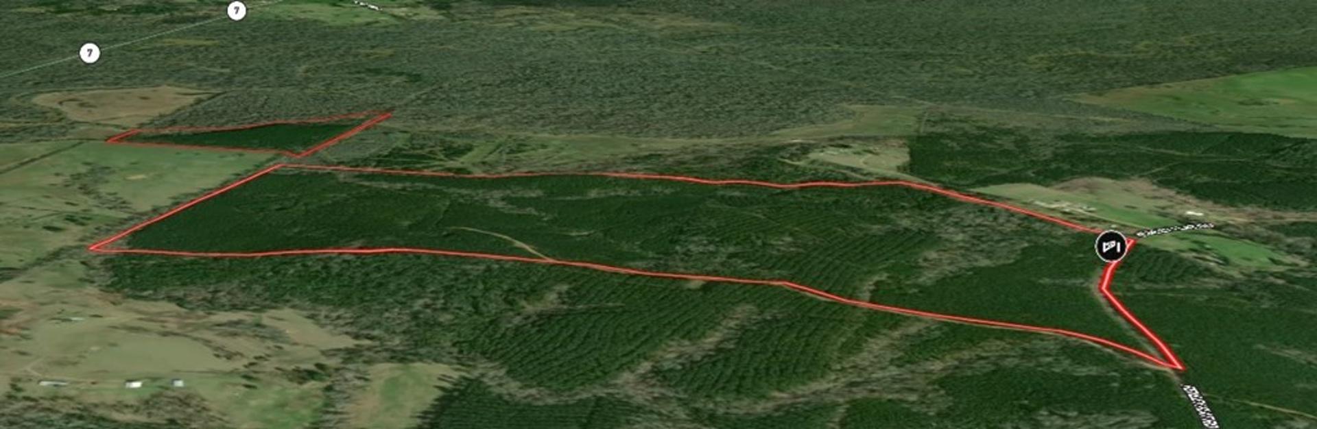 Parcel ID 30383 Fenley Flat, Pollok, TX, 75969