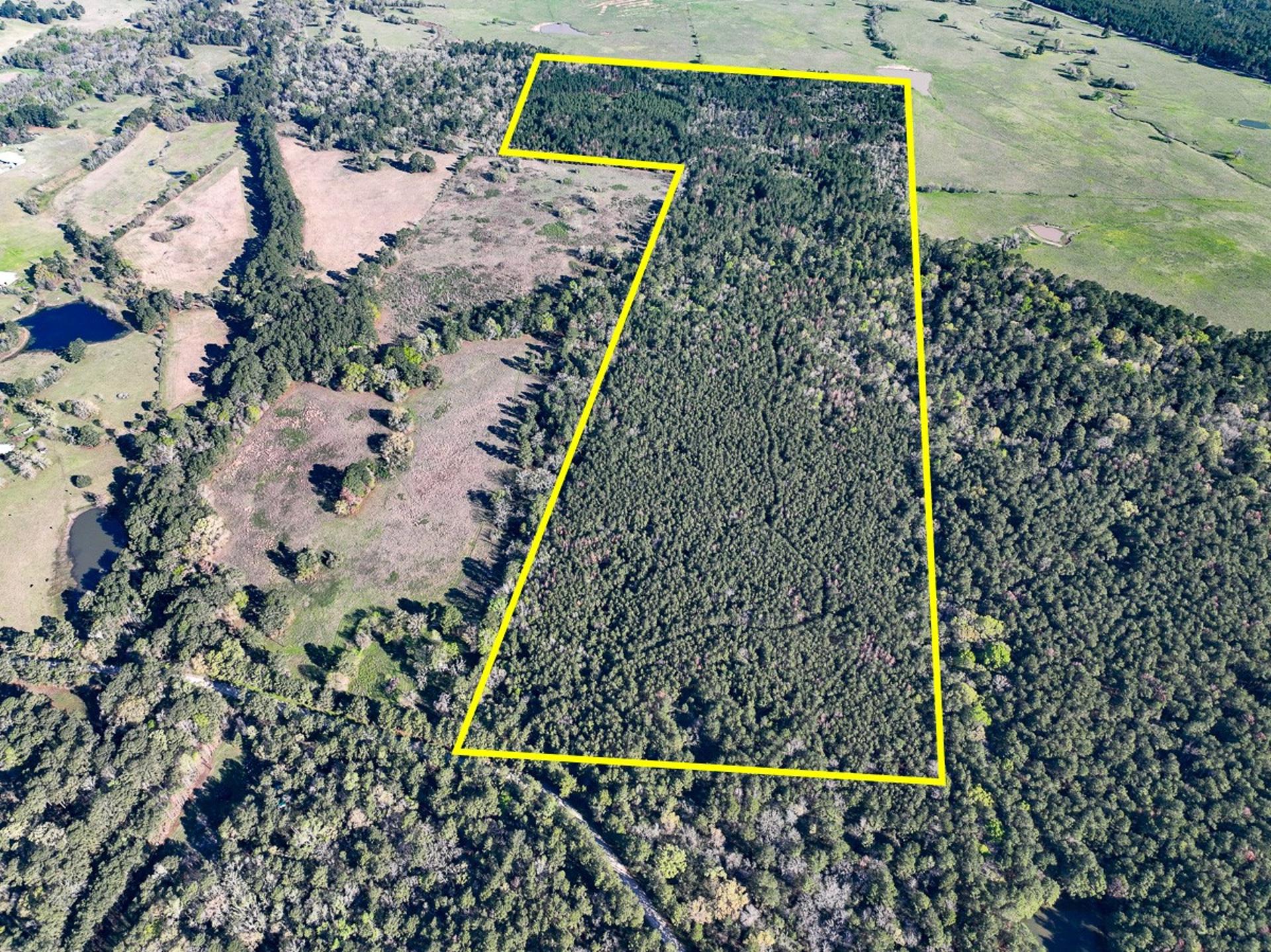 1 Bishop Road, Huntsville, TX, 77320
