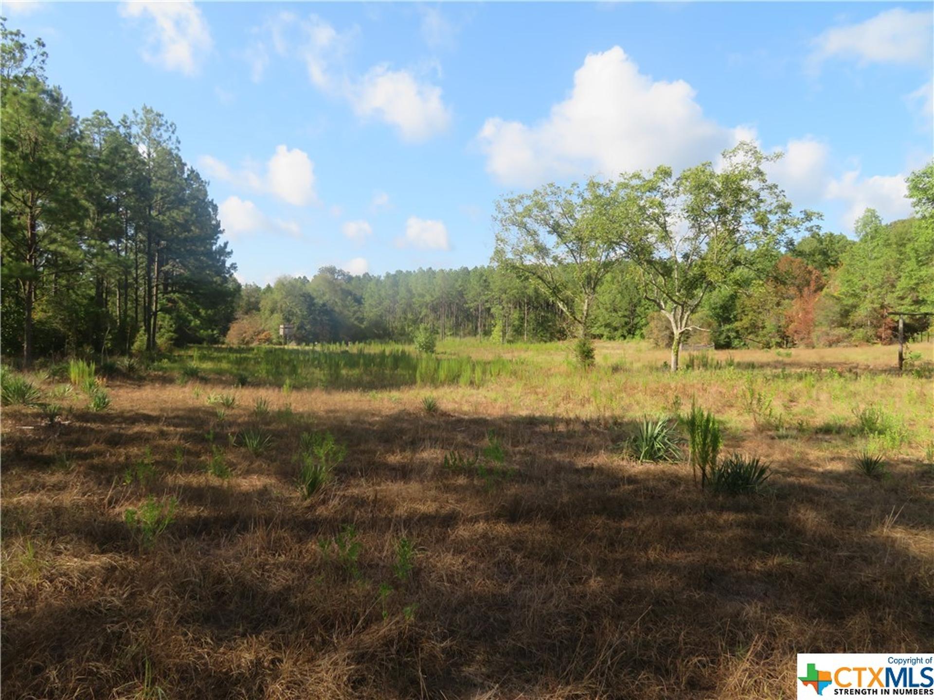 999 CO RD 1101, Newton, TX, 75977