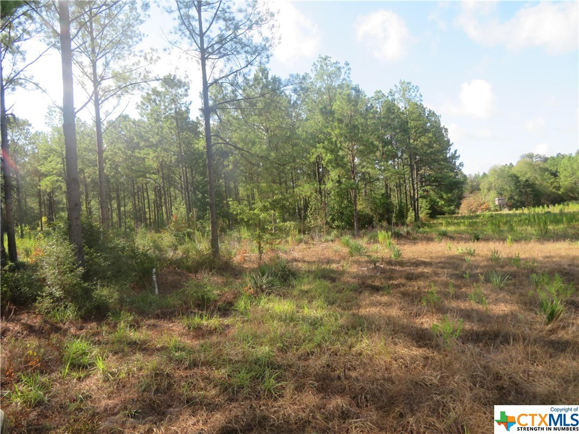 999 CO RD 1101, Newton, TX, 75977