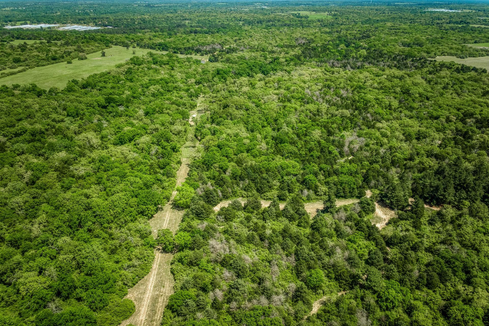 7266 County Road 449, Marquez, TX, 77865