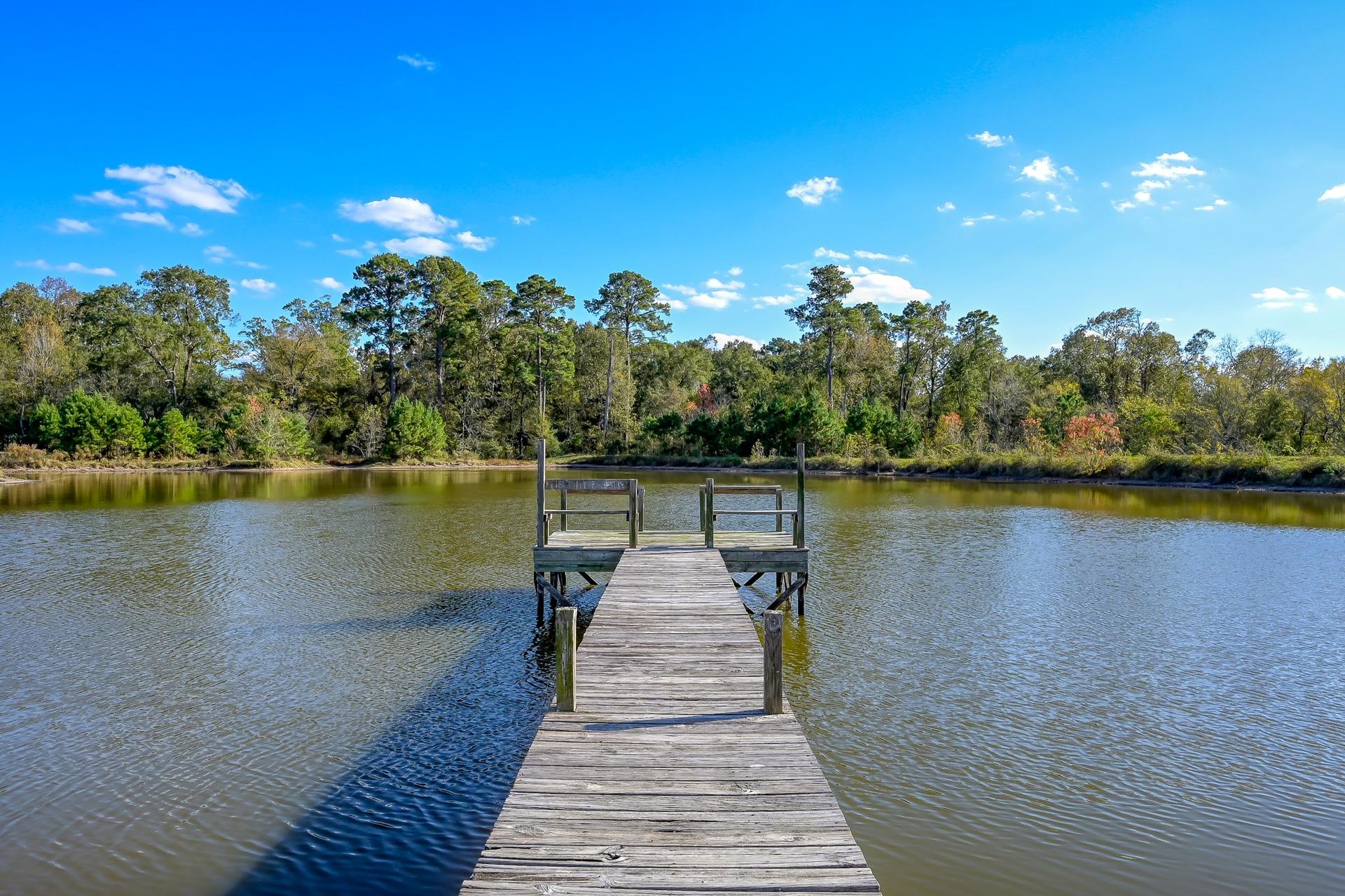 125 ACRES Spring Branch, Montgomery, TX, 77316