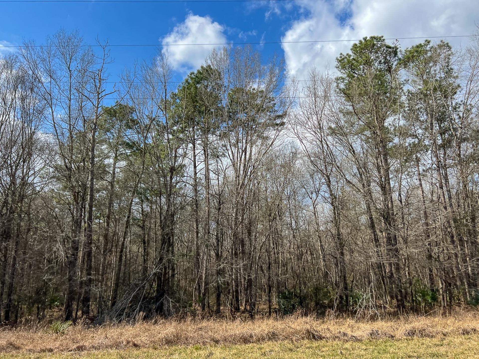 1 FM 770, Saratoga, TX, 77585