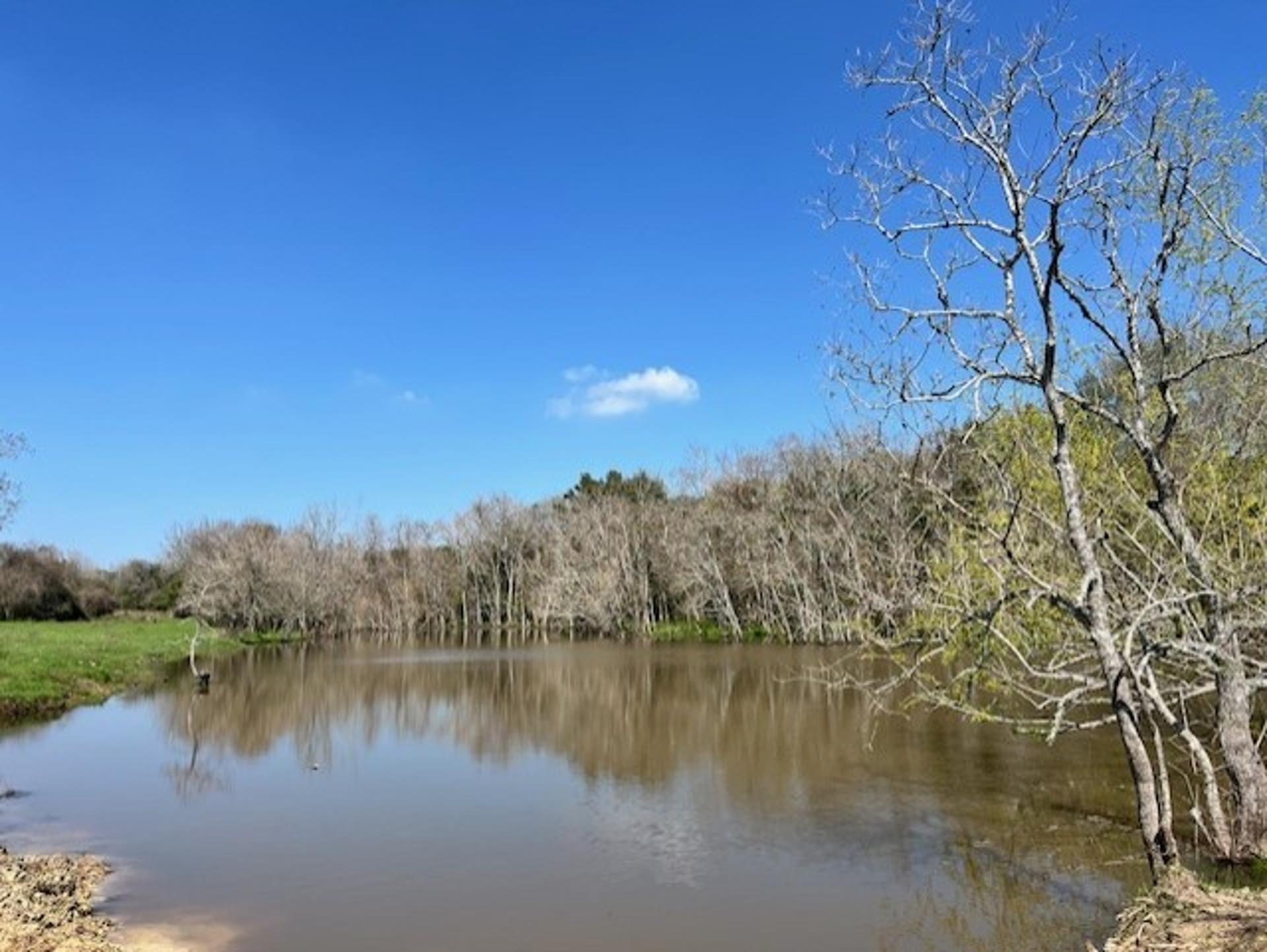 001 Blezinger, New Ulm, TX, 78950