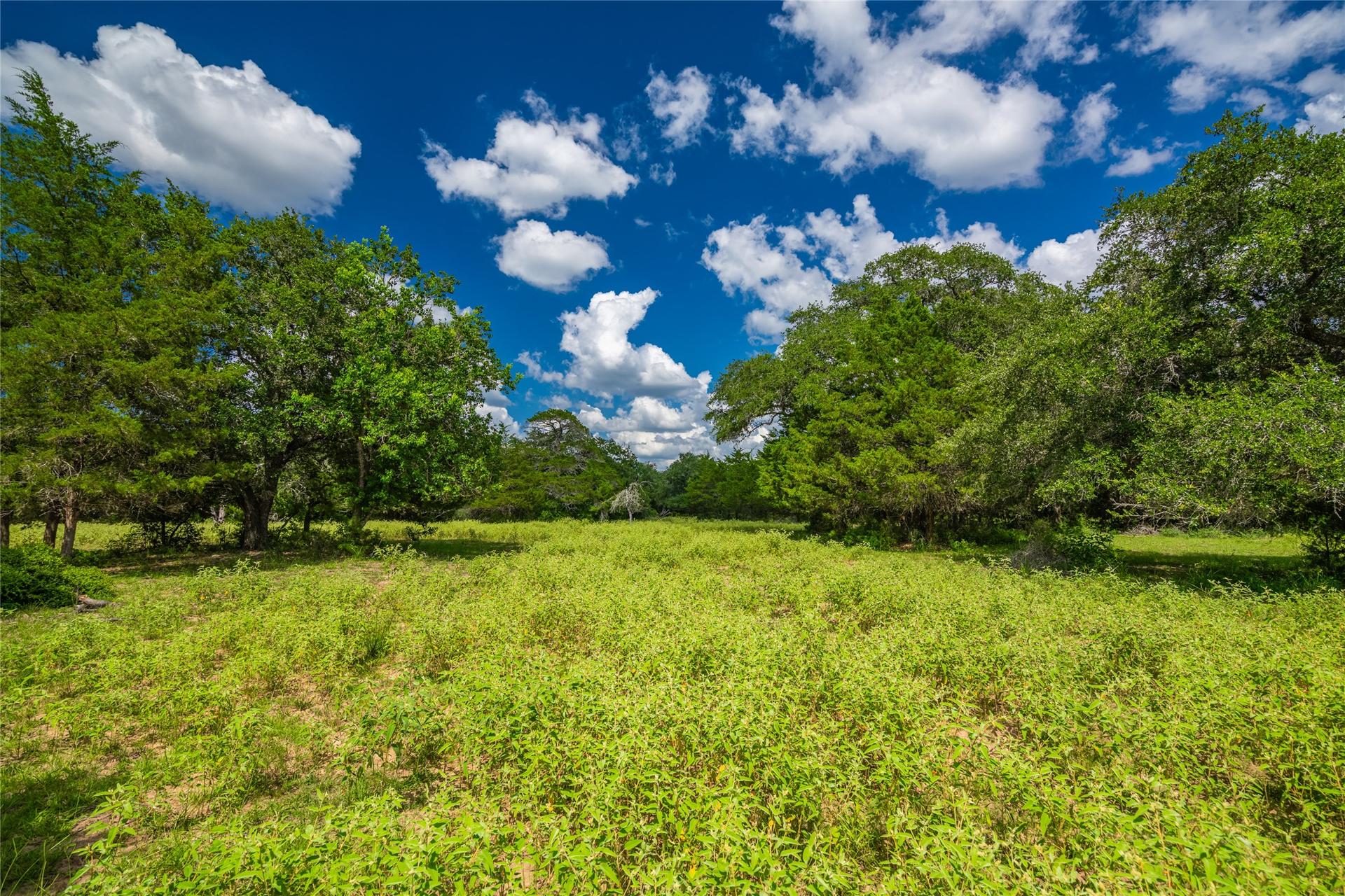 0 County Road 146, Hallettsville, TX, 77964