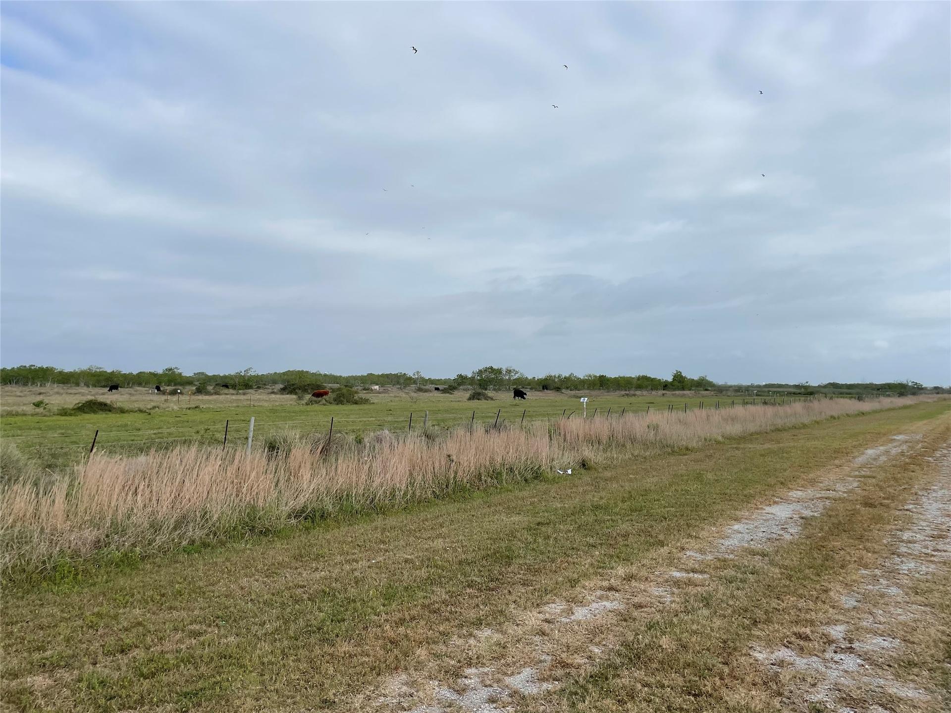 0 Harbor Dr, Hitchcock, TX, 77563