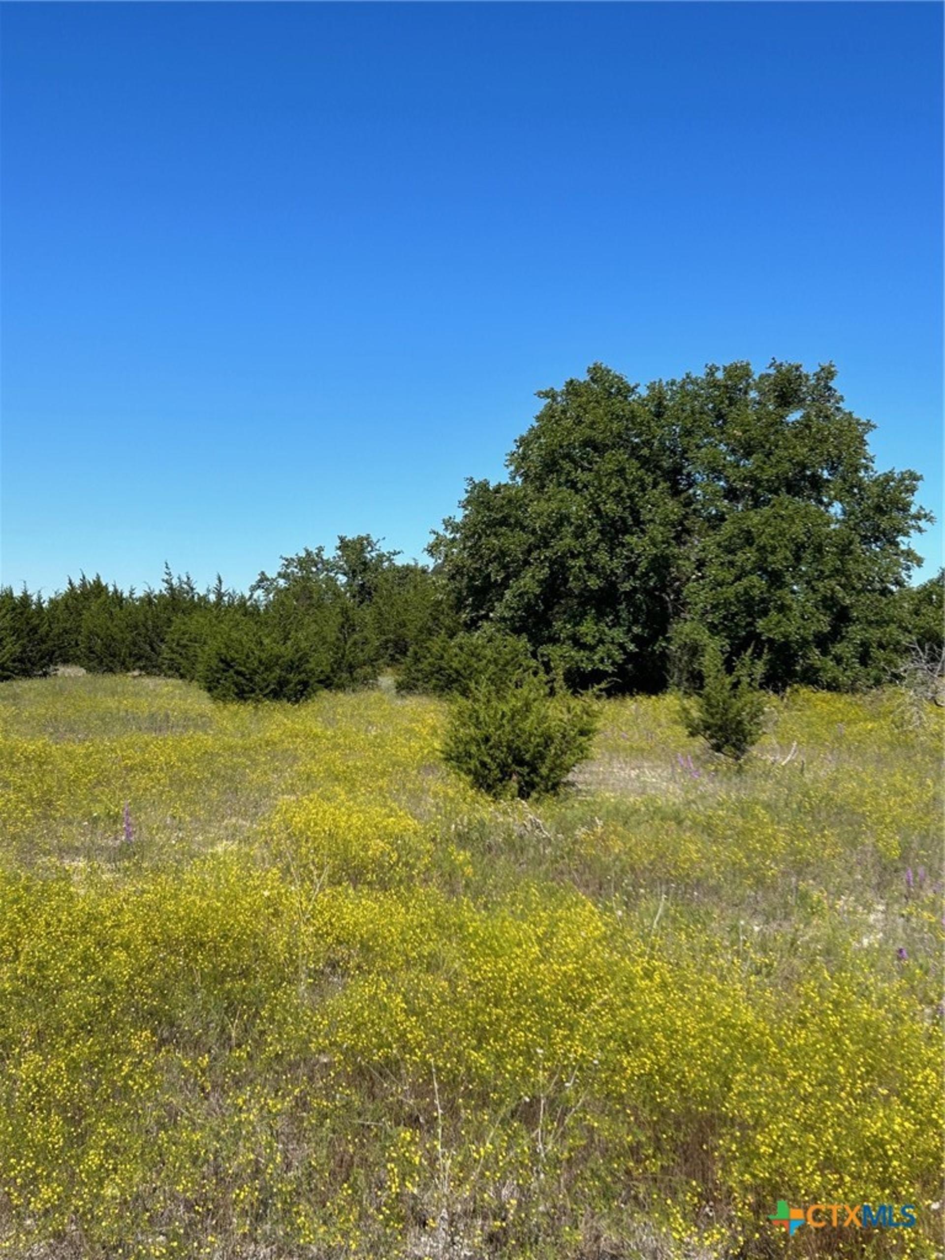 TBD County Road 139, Gatesville, TX, 76528