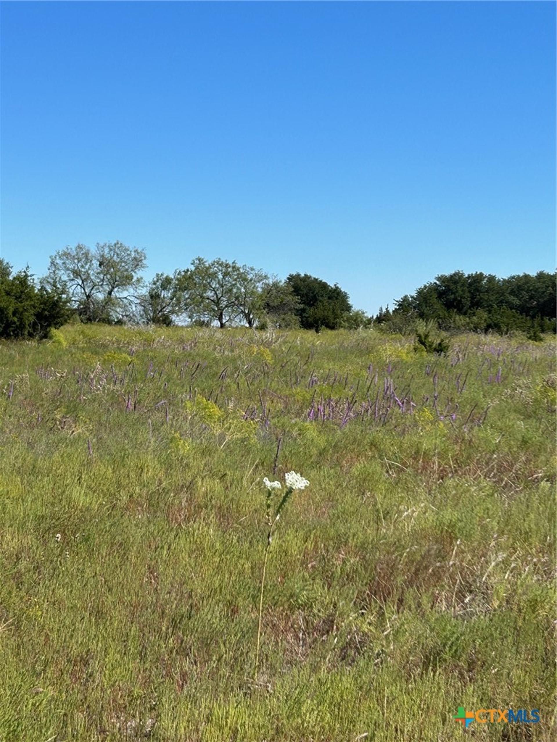TBD County Road 139, Gatesville, TX, 76528