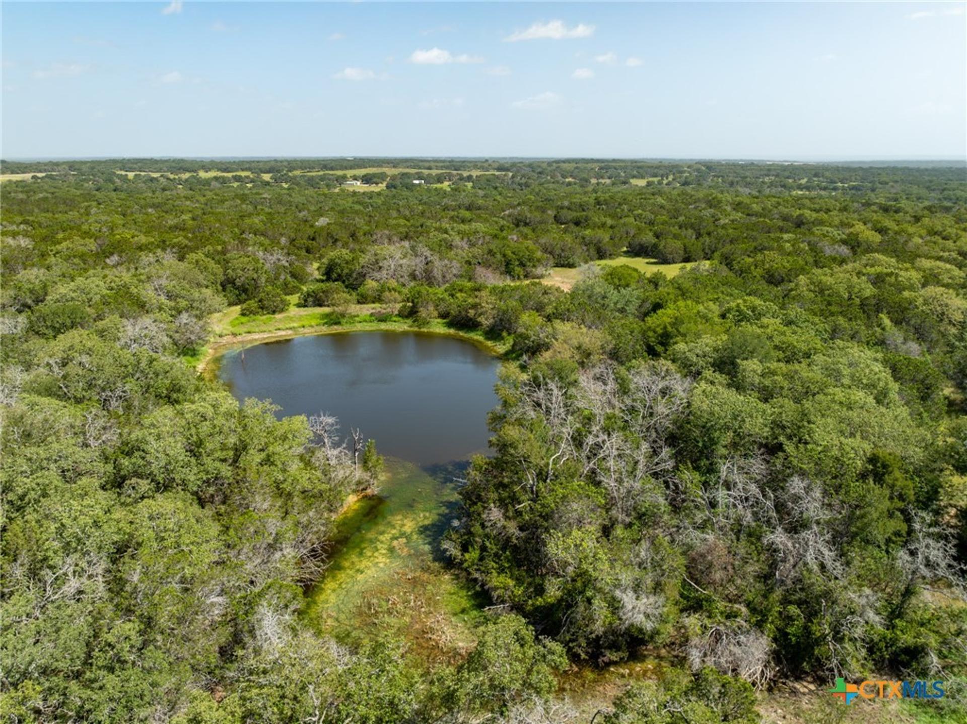 TBD PR 1002, Purmela, TX, 76566