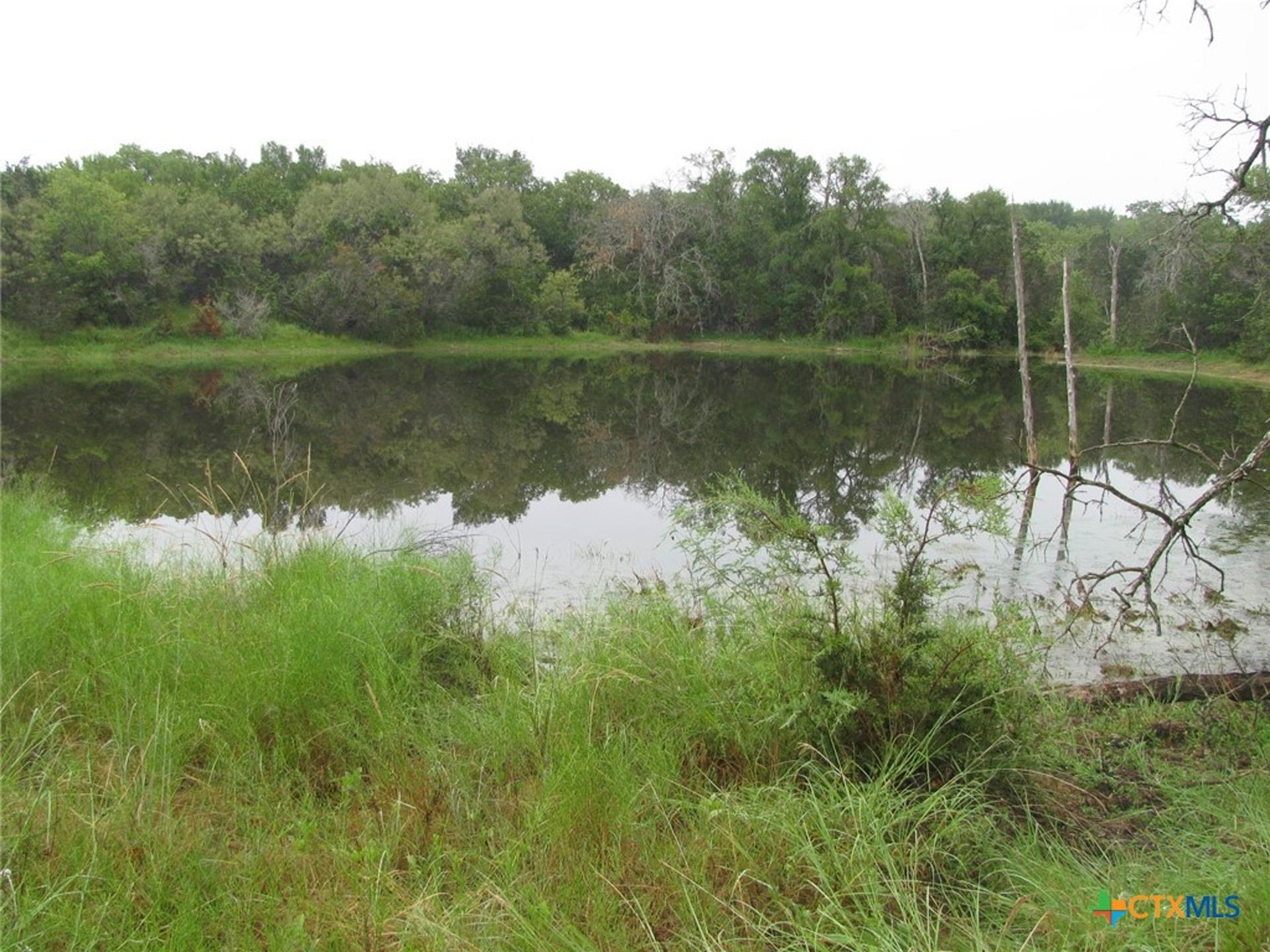 TBD PR 1002, Purmela, TX, 76566