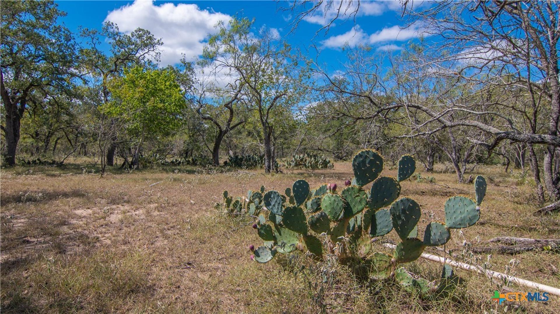 TBD County Road 434, Stockdale, TX, 78160
