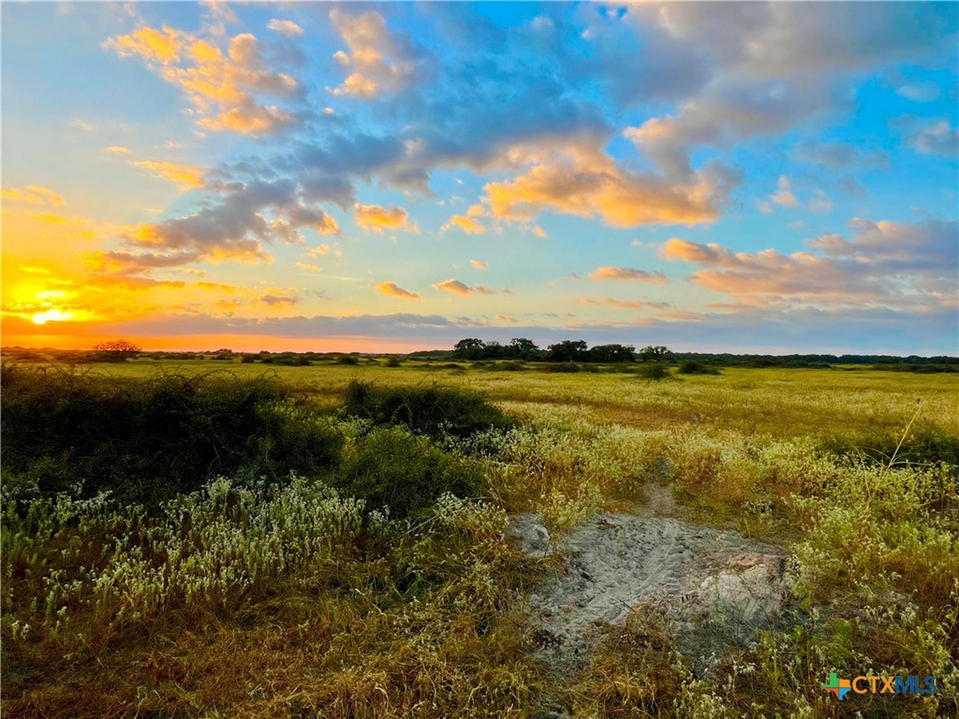 TBD FM 530, Hallettsville, TX, 77964