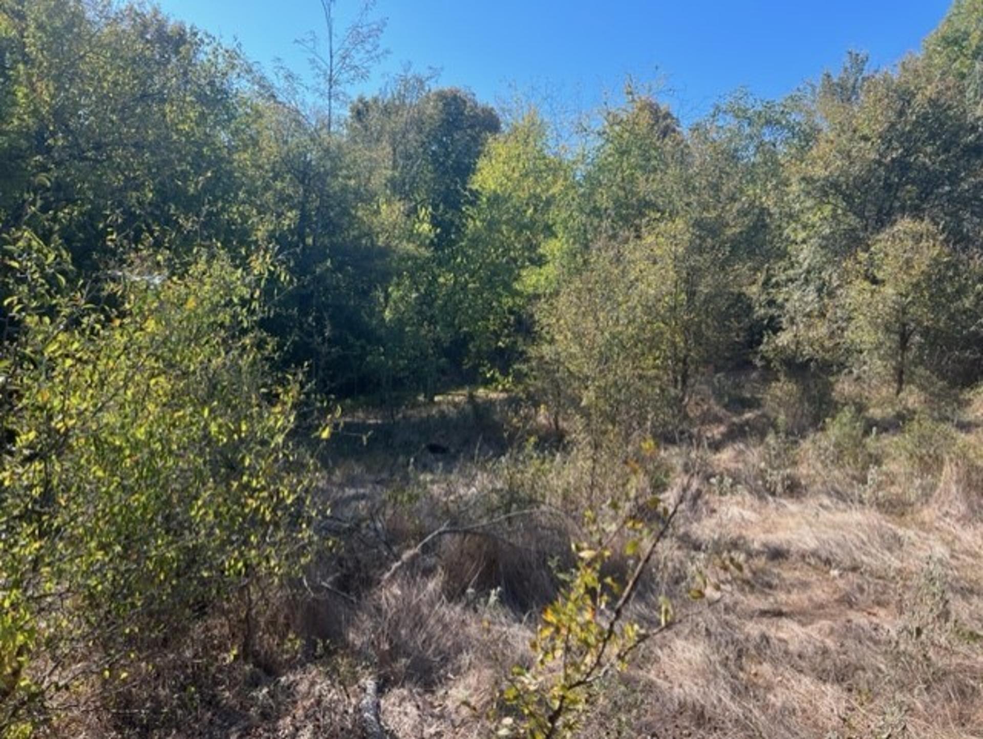 TBD FM 71 East, Talco, TX, 75487