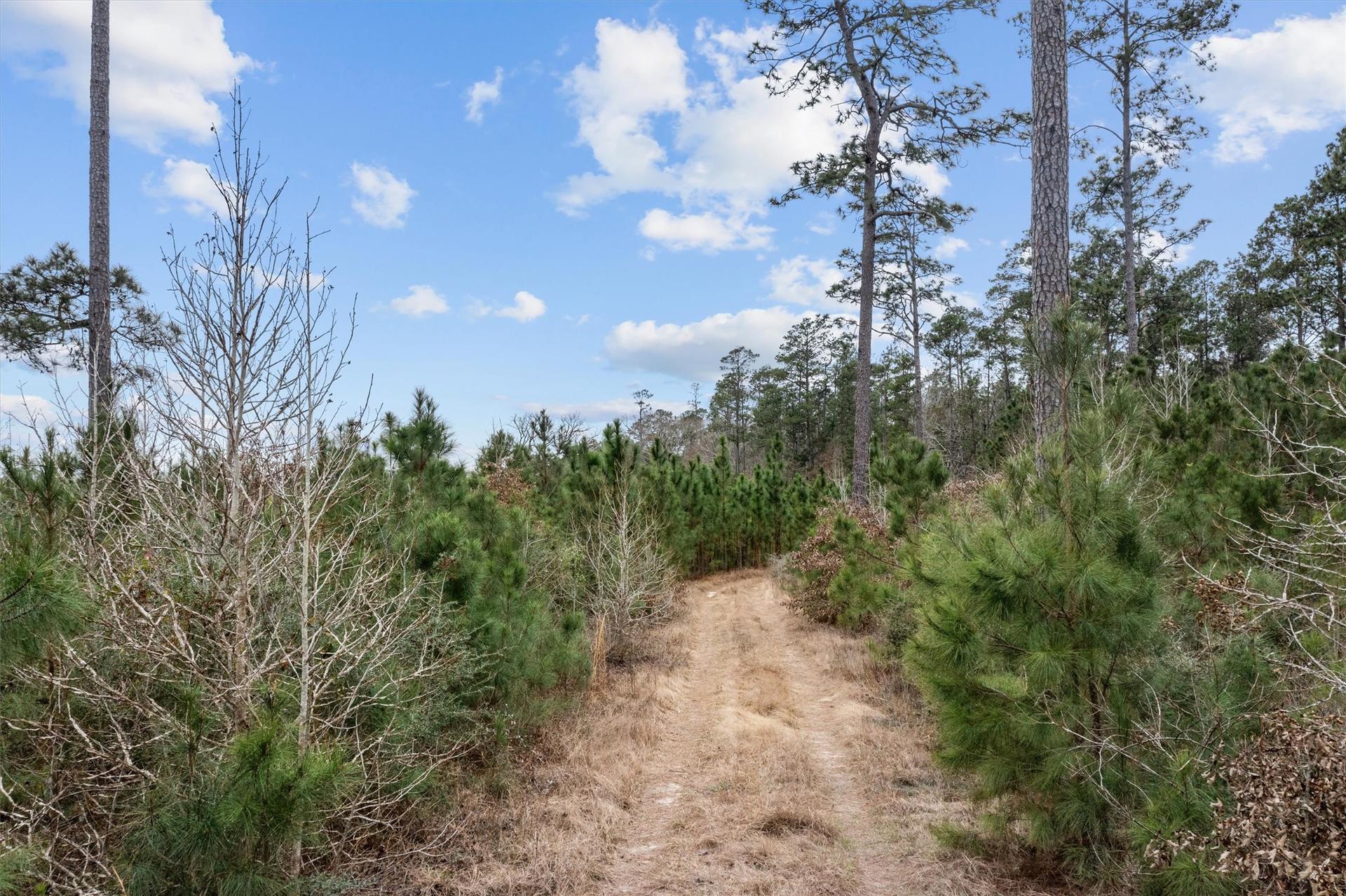 9422 Farm to Market 62, Corrigan, TX, 75939