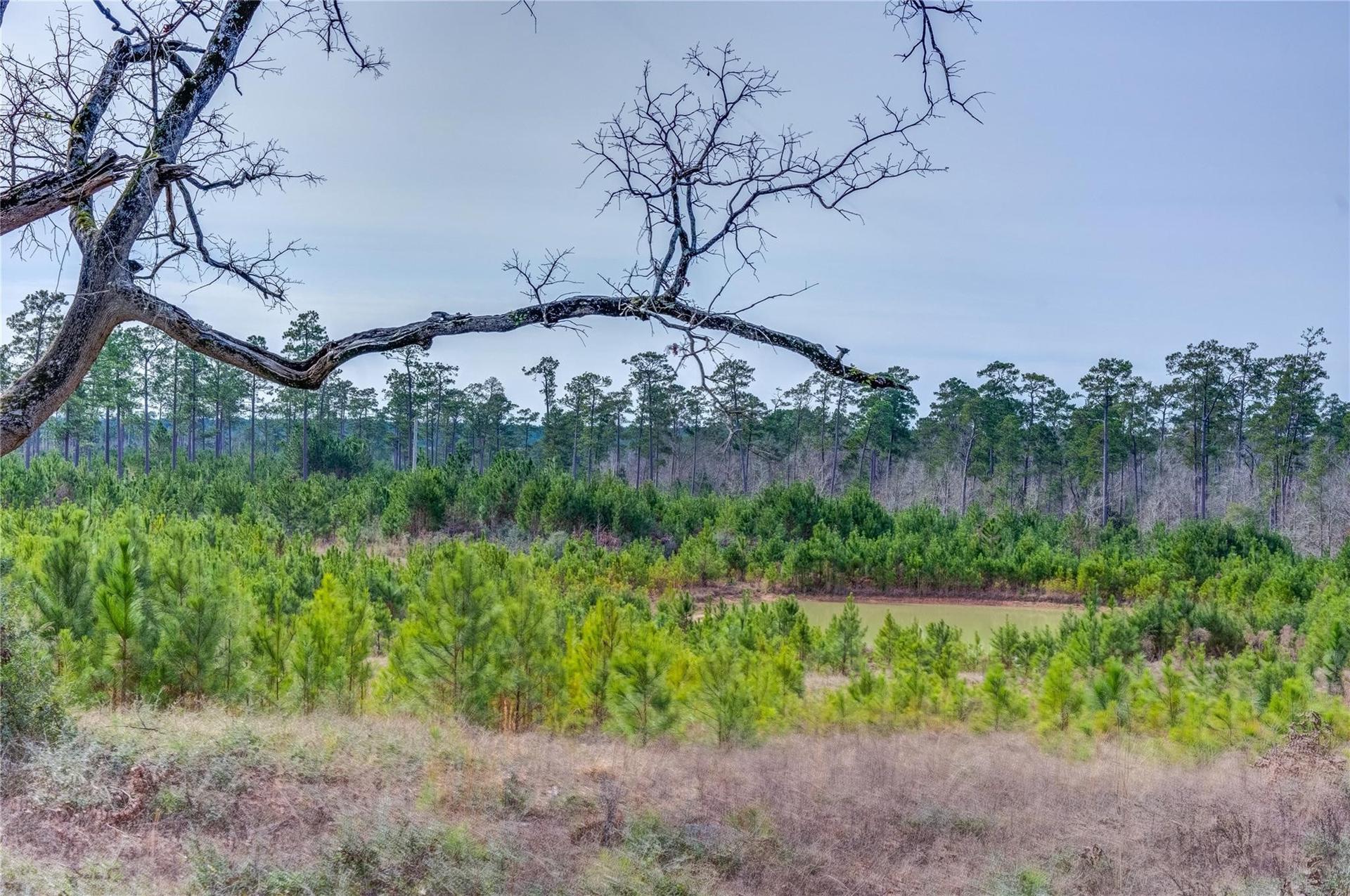 9422 Farm to Market 62, Corrigan, TX, 75939