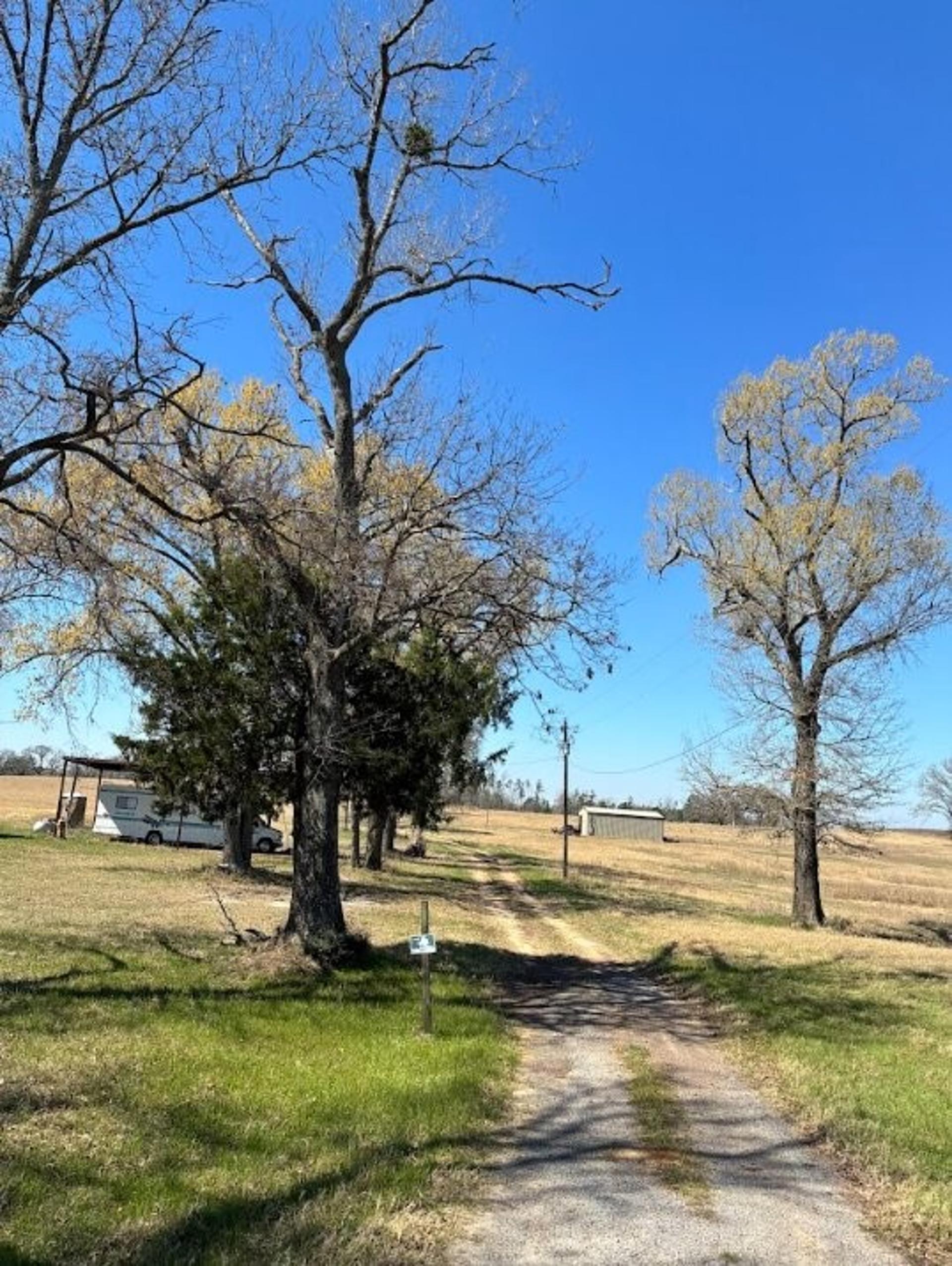 0 County Road 2235, Grapeland, TX, 75844