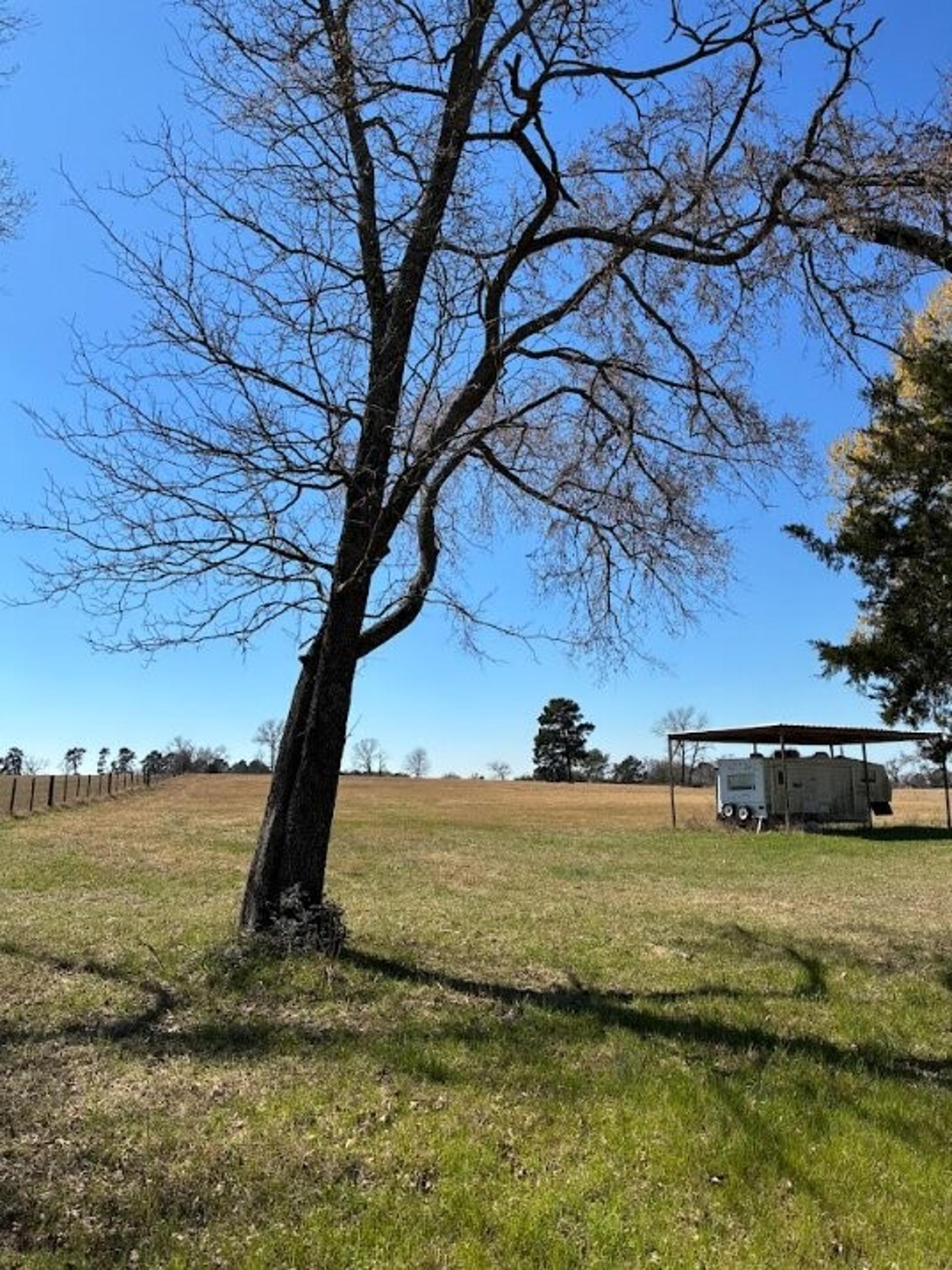 0 County Road 2235, Grapeland, TX, 75844