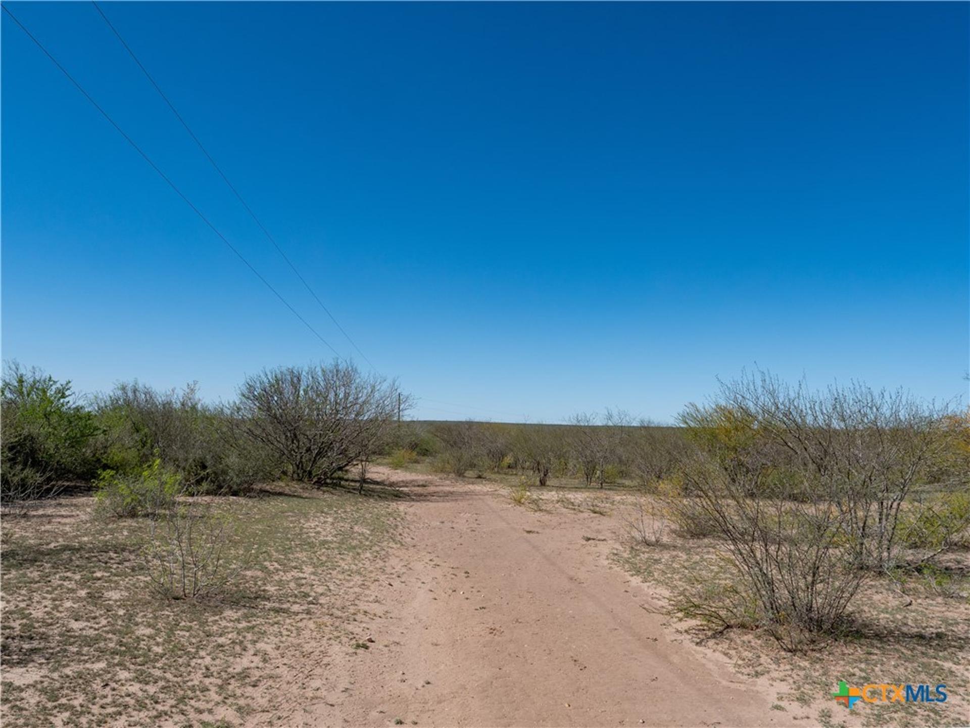 TBD County Road 131, George West, TX, 78022