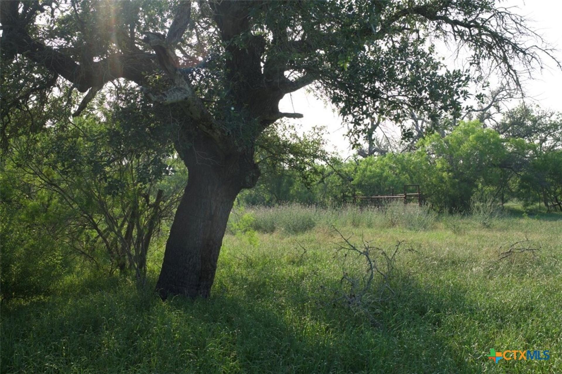 TBD Taylorsville Road, Red Rock, TX, 78662
