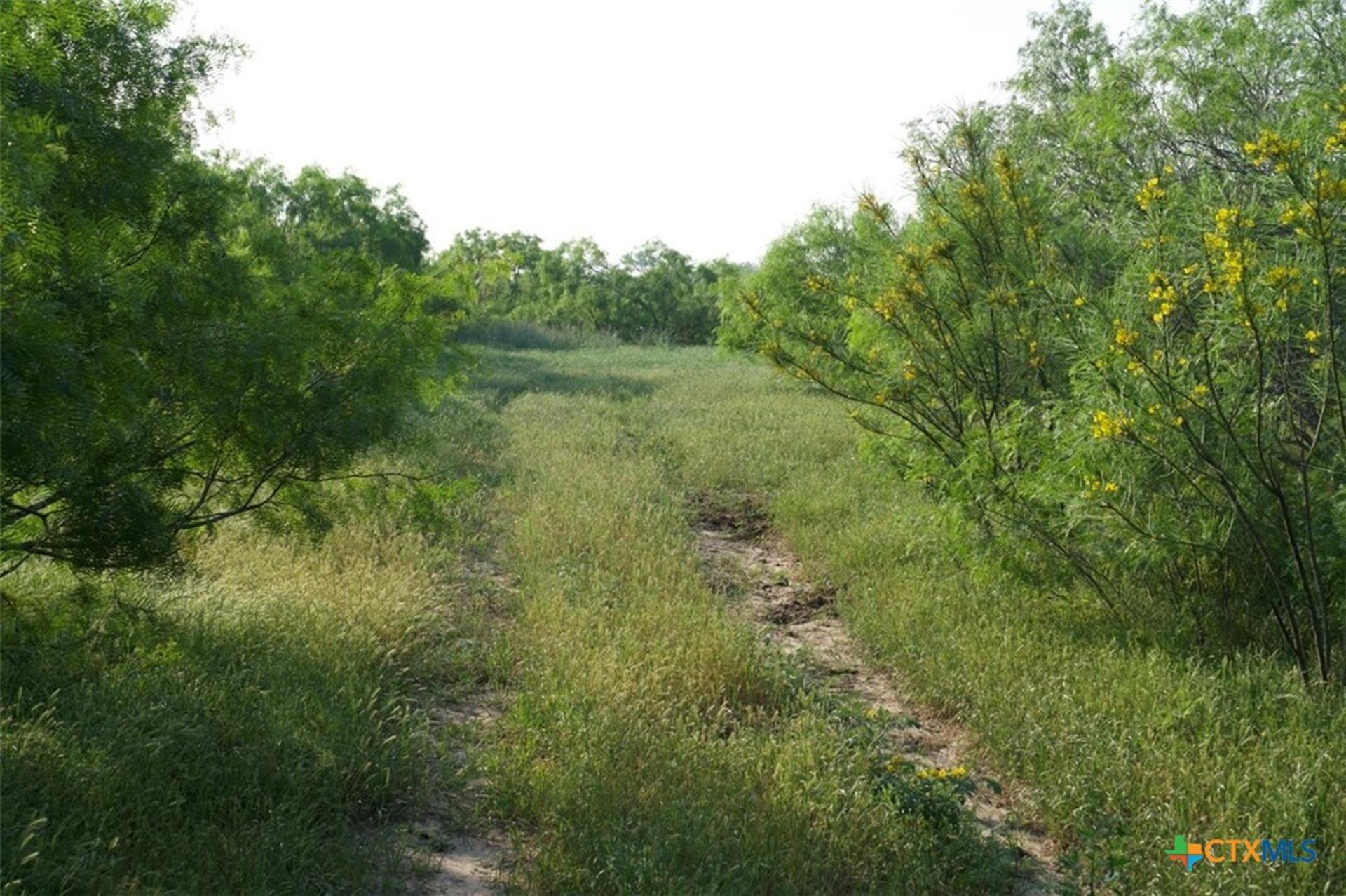 TBD Taylorsville Road, Red Rock, TX, 78662