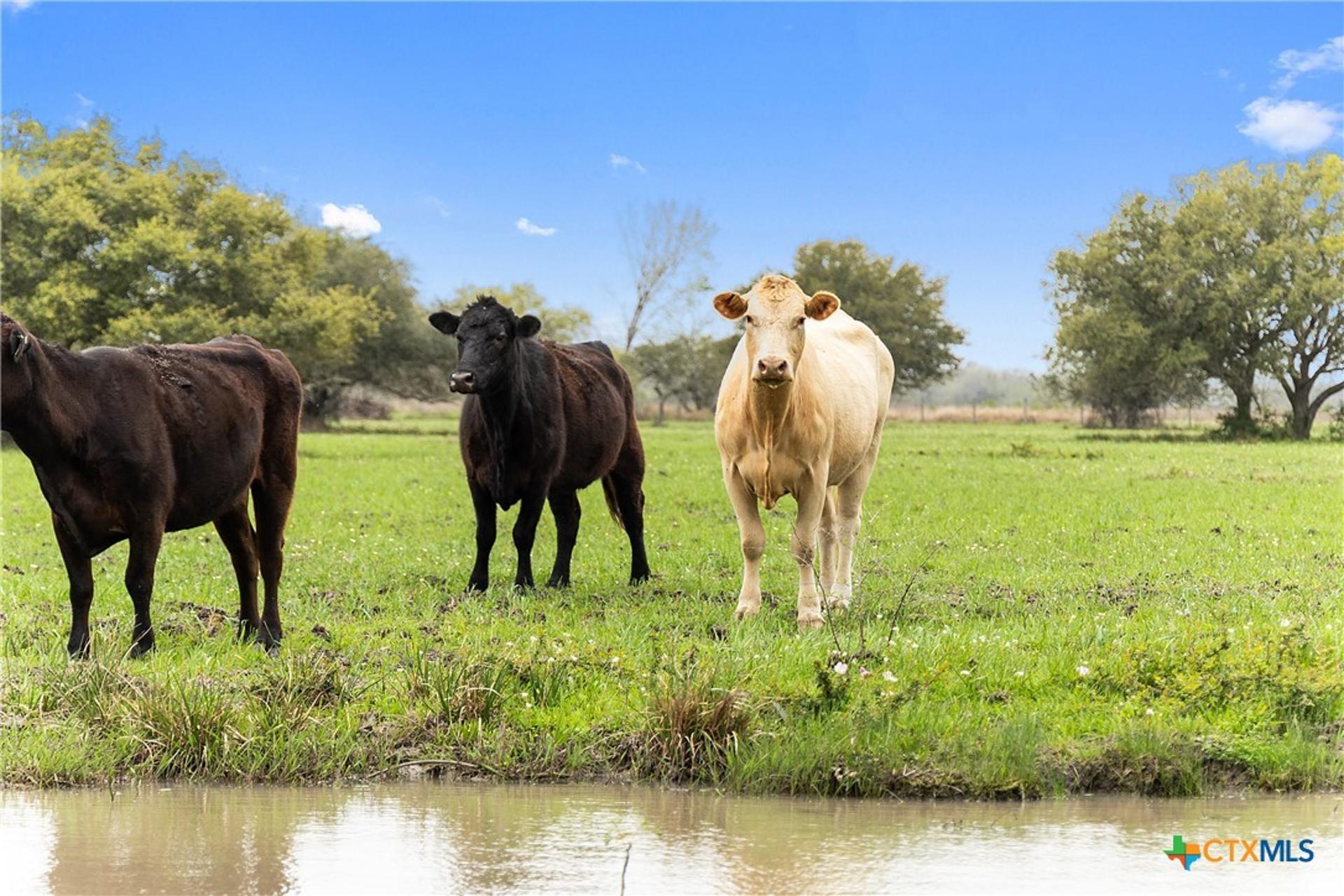 778 County Road 123, Edna, TX, 77957