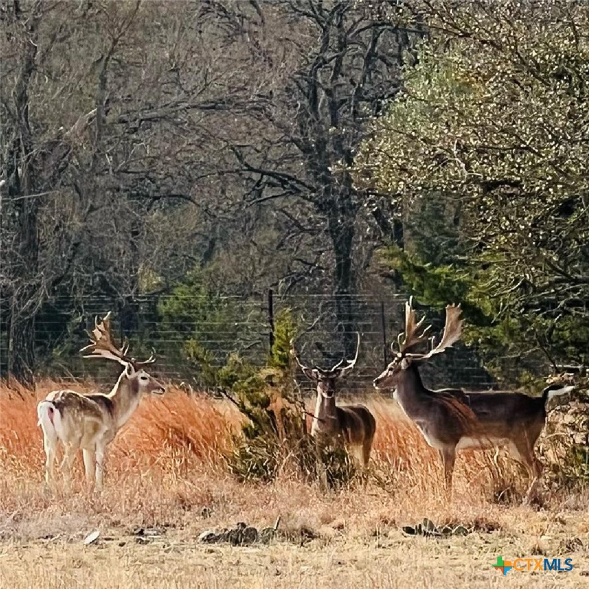 2265 County Road 106, Purmela, TX, 76566