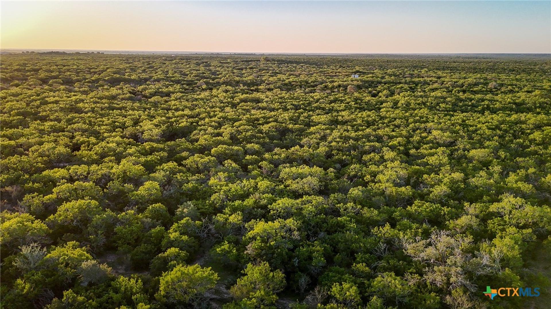 000 County Line Rd # 120, Beeville, TX, 78102