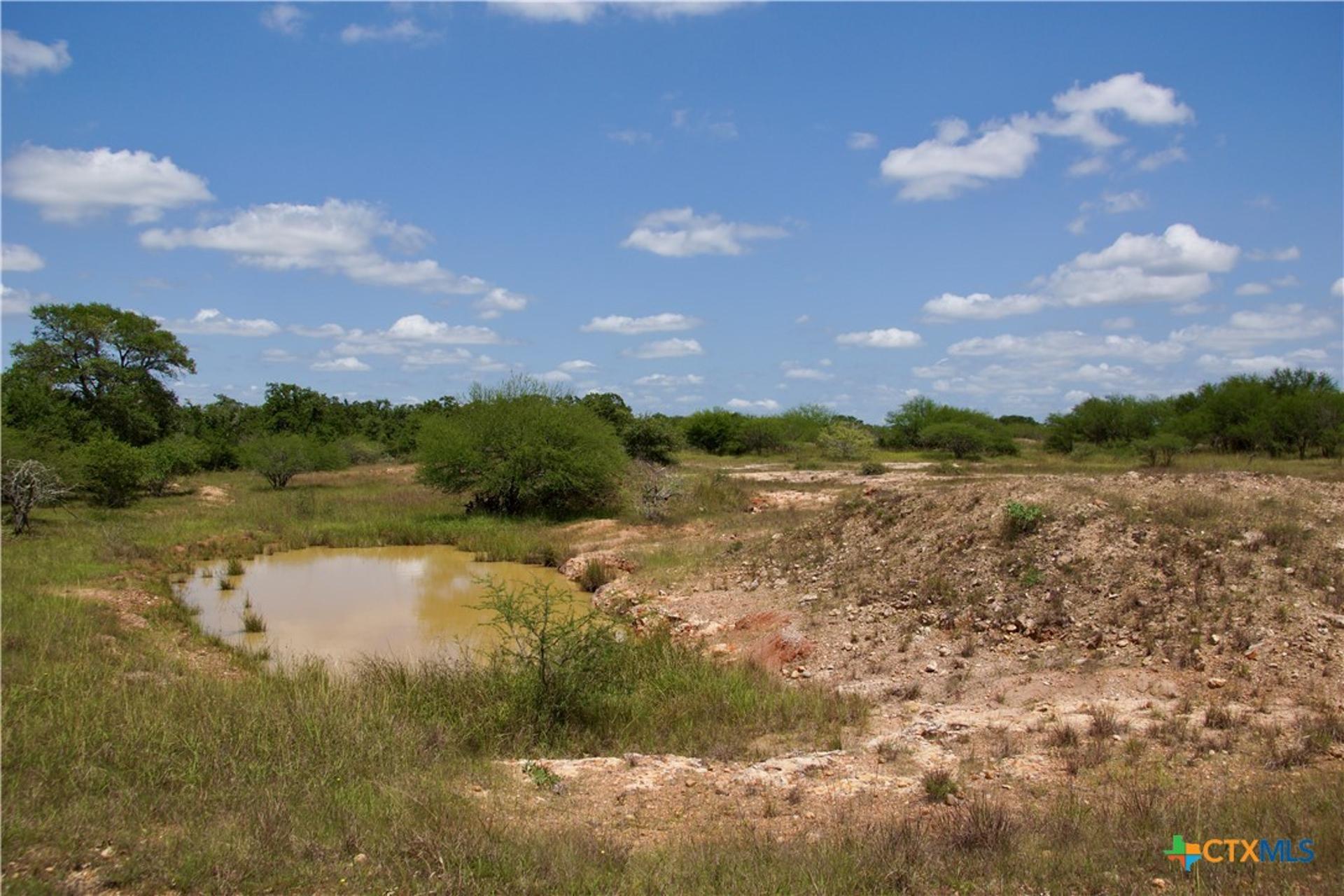 000 Fordtran Rd Tract 8, Thomaston, TX, 77954